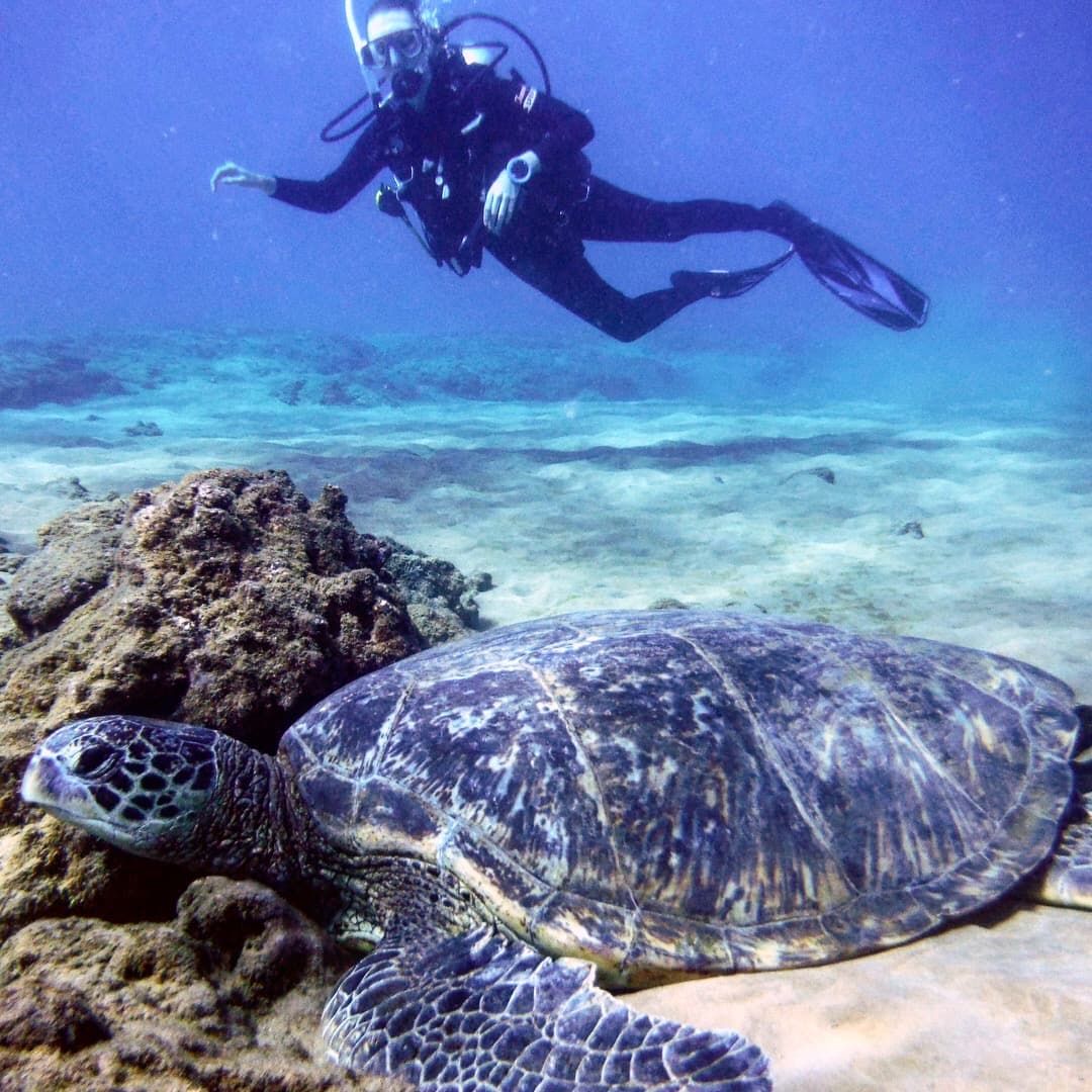 Travel advisor scuba diving