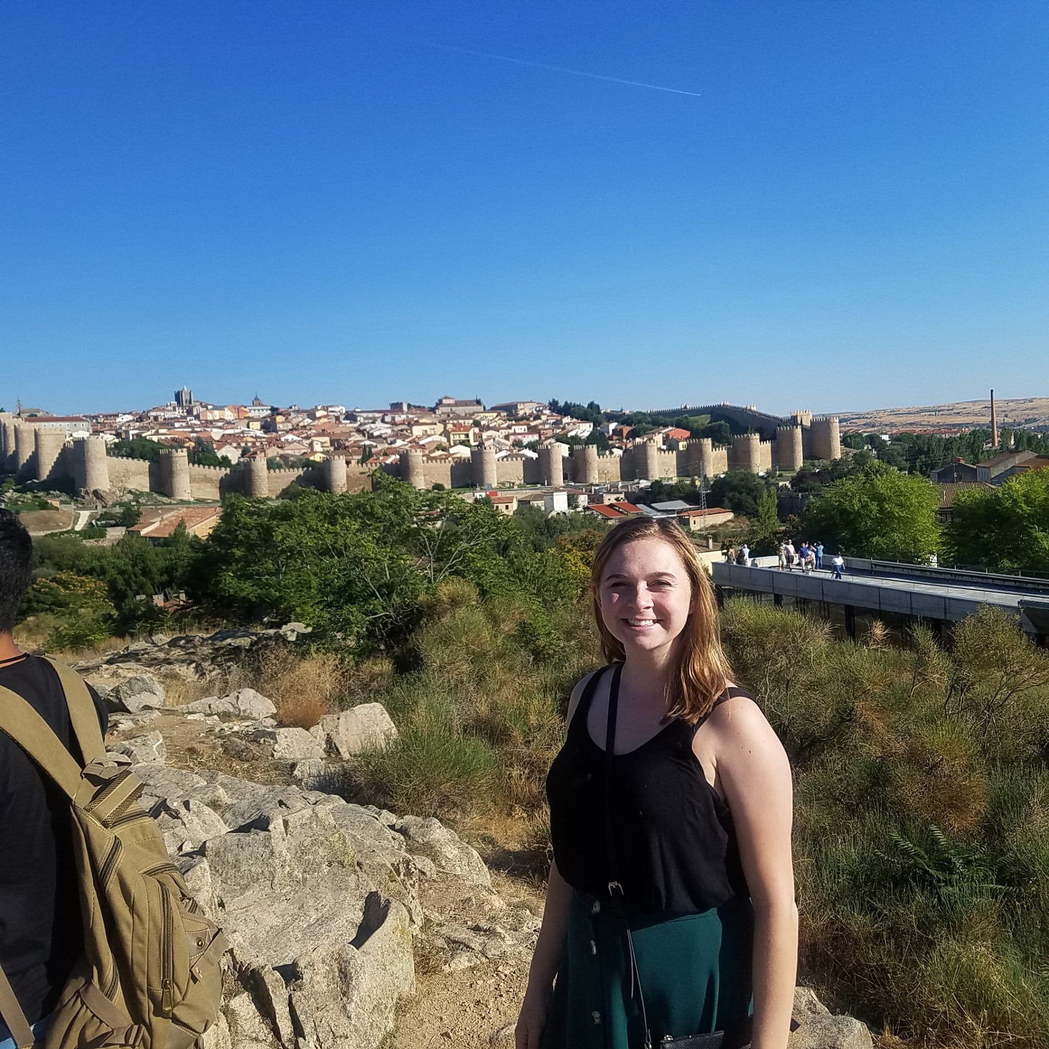 View of the Walls of Ávila