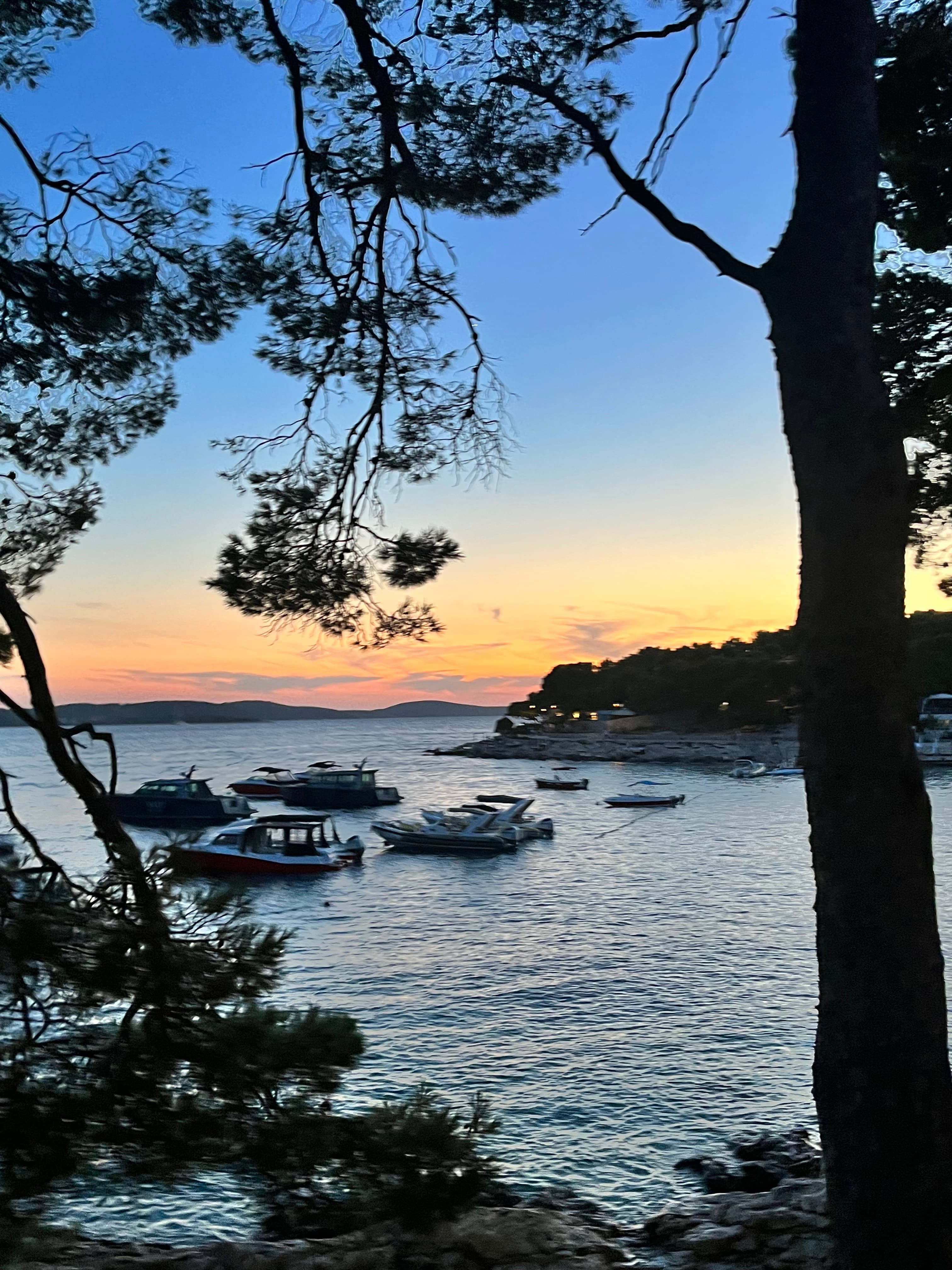 Boats sailing in the sea