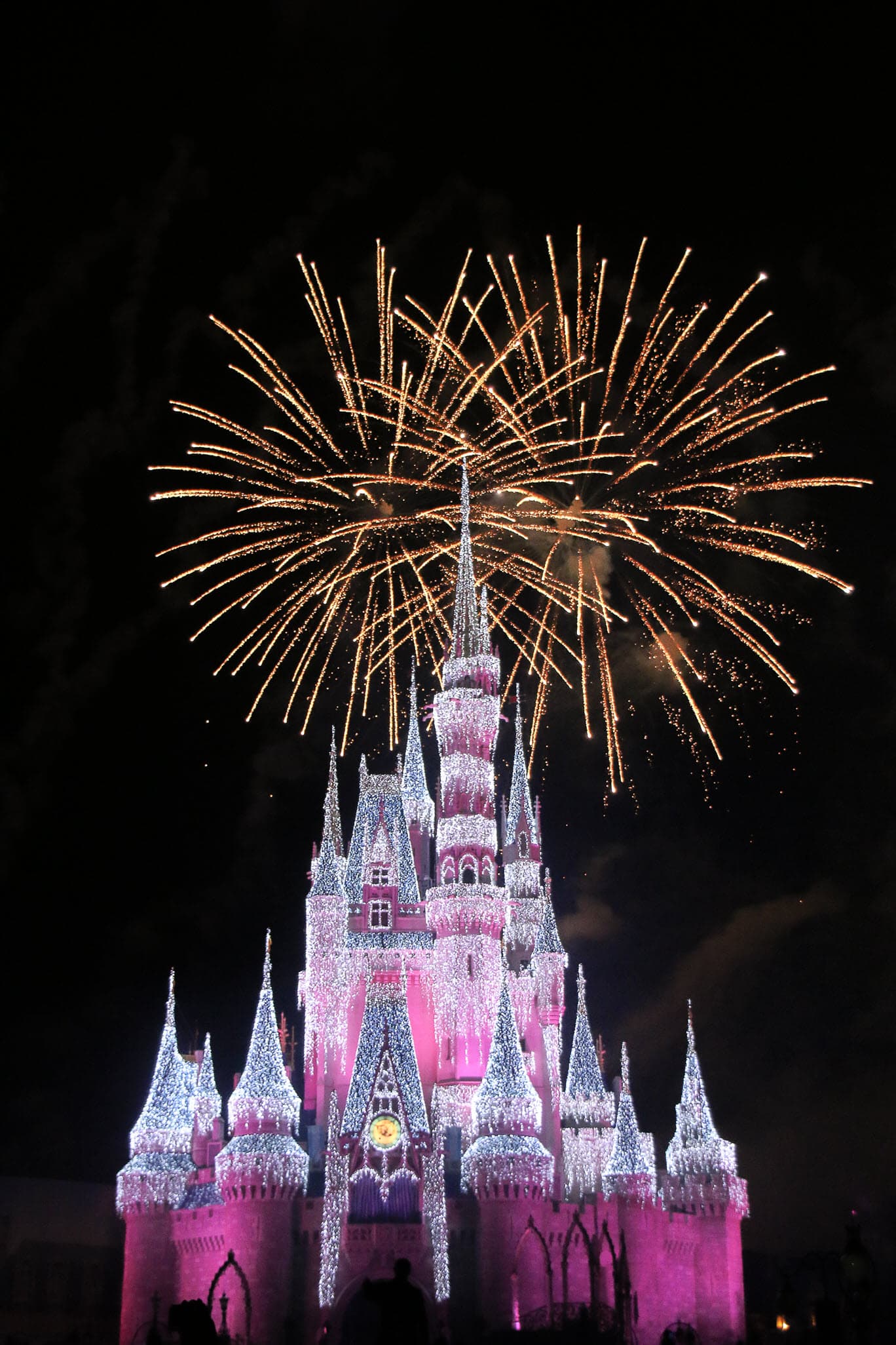 View of the theme park