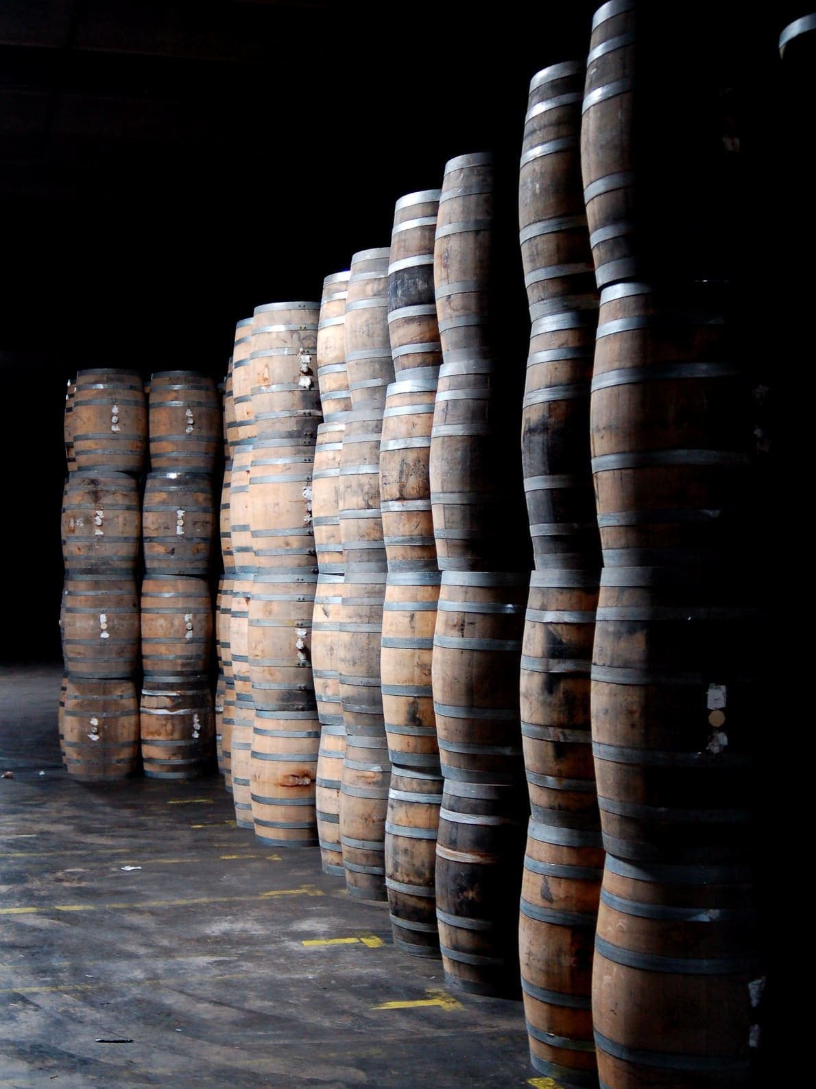 A Weekend in Louisville, KY: Beyond the Bourbon curated by Taylor Tran