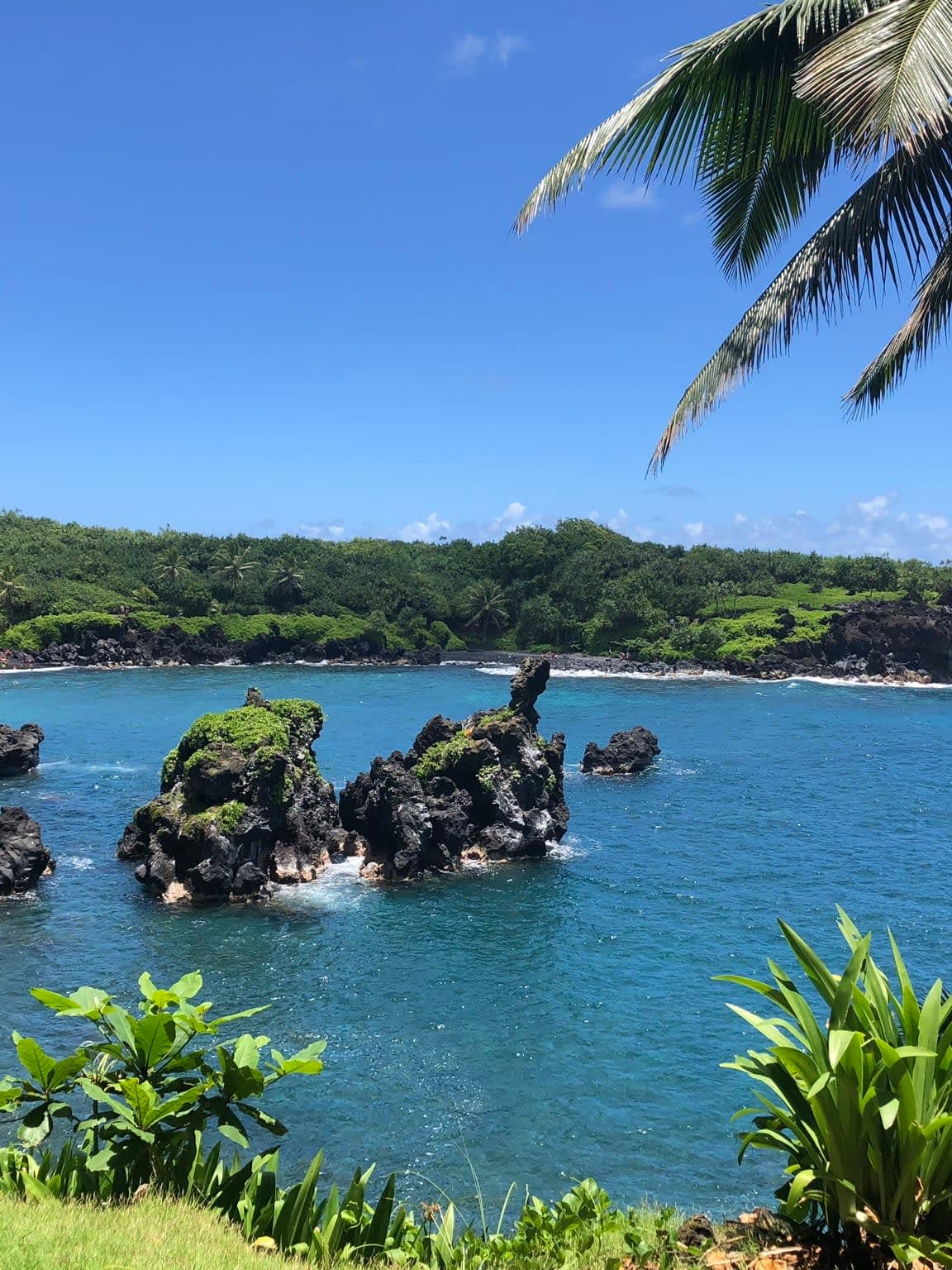 Which Hawaiian Island Matches Your Vacation Vibe? Your Ultimate Hawai'i Guide curated by Becca Santos