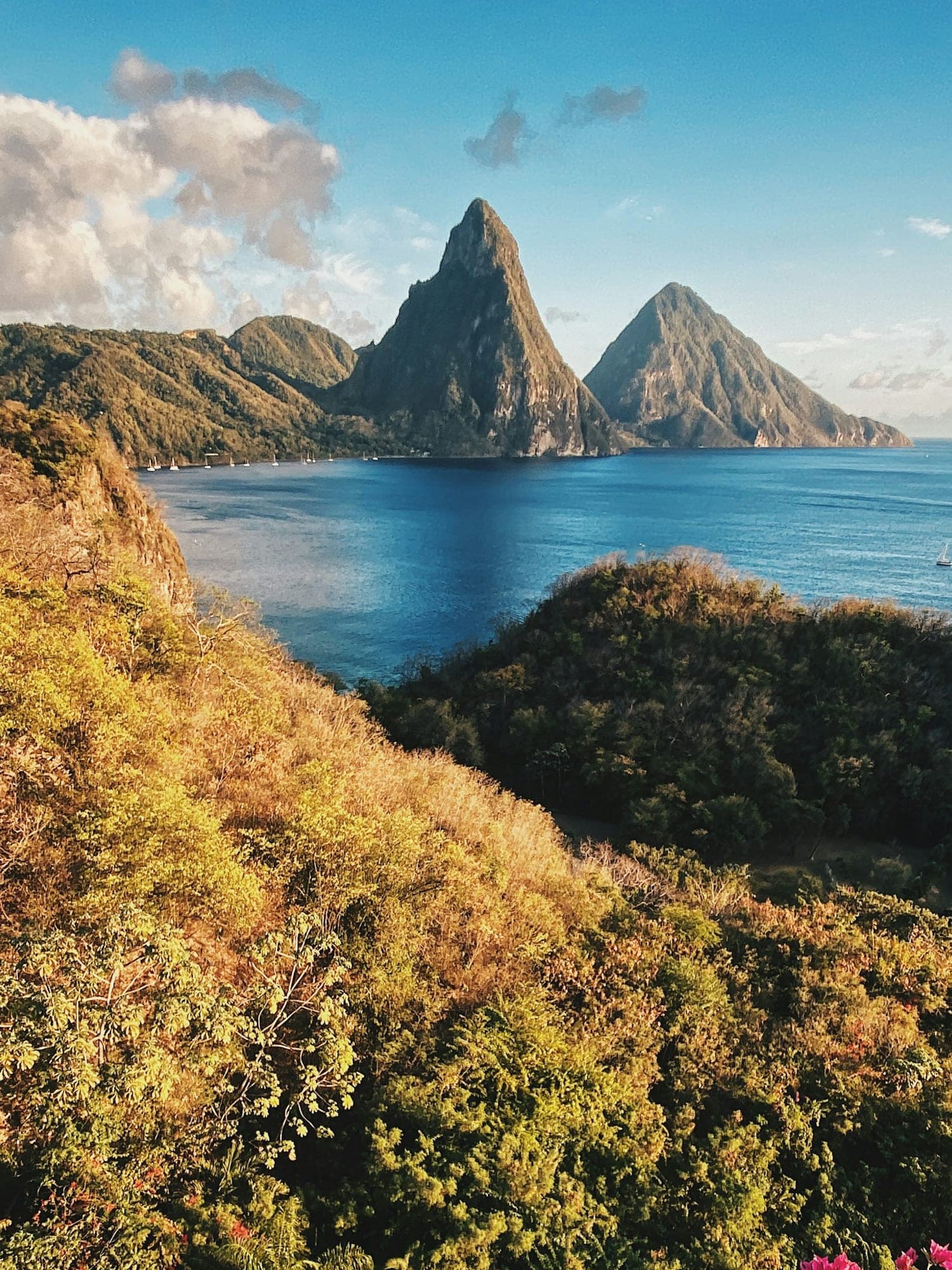 Exploring St. Lucia curated by Sophie Gutman