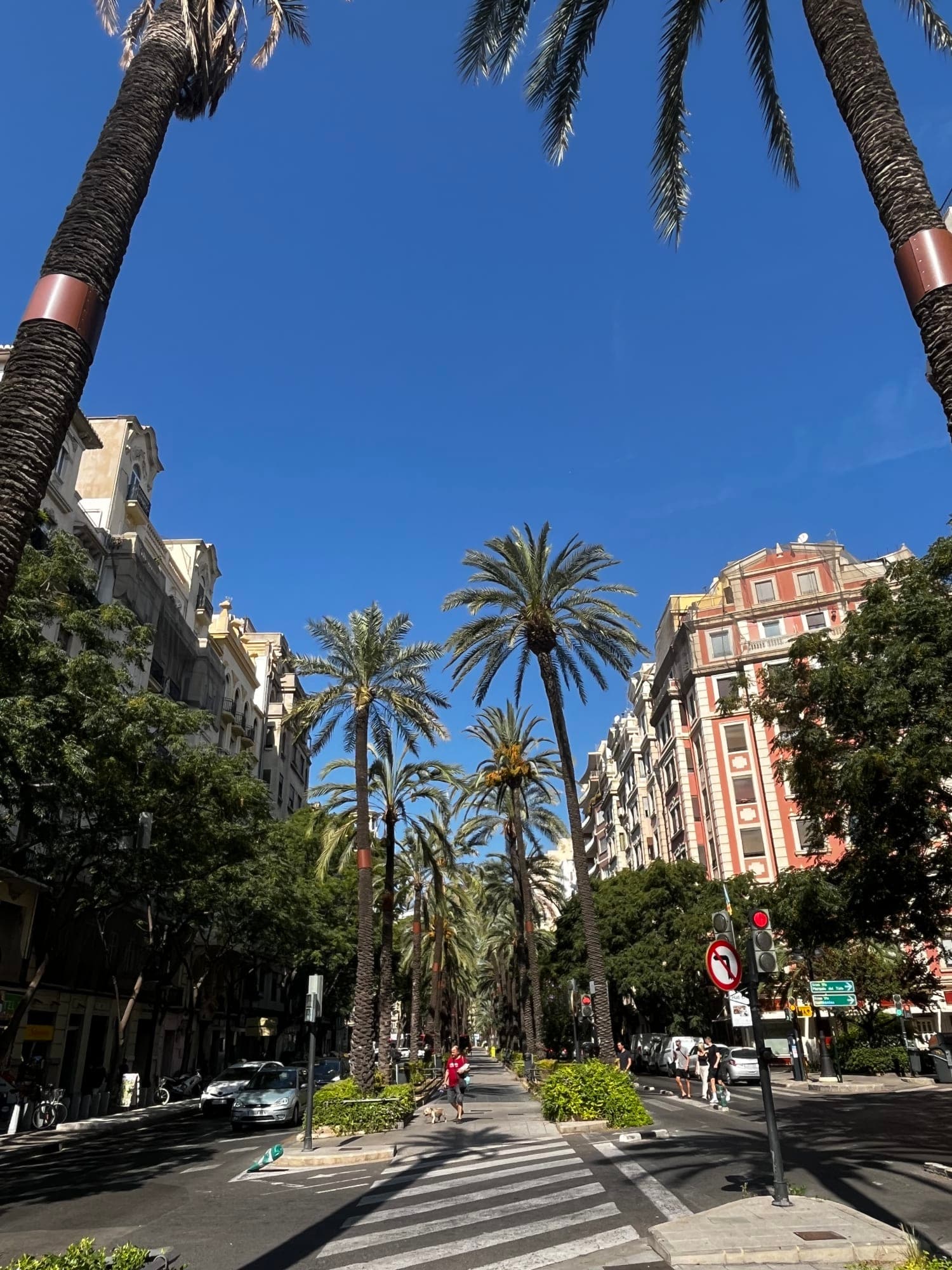 Beyond Paella: A Guide to Vibrant Valencia curated by Jill Petzinger