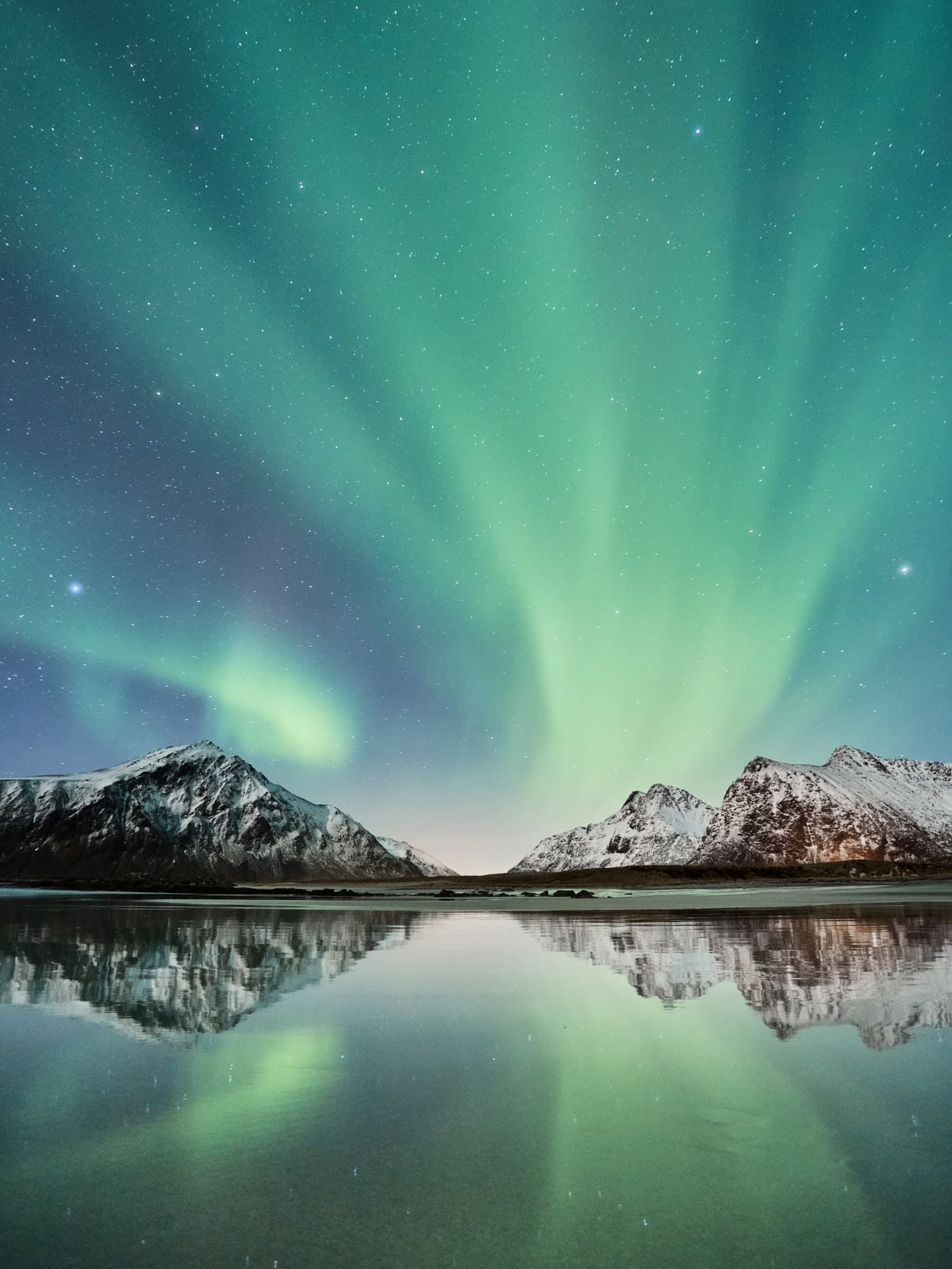 The Arctic vs. Antarctica Cruises: Cruising North or Sailing South for Your Polar Adventure? curated by Heather Budd