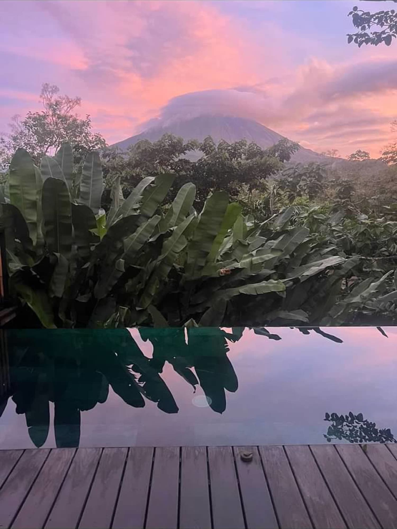 Costa Rica: Pura Vida and Endless Adventures curated by Amanda Denner