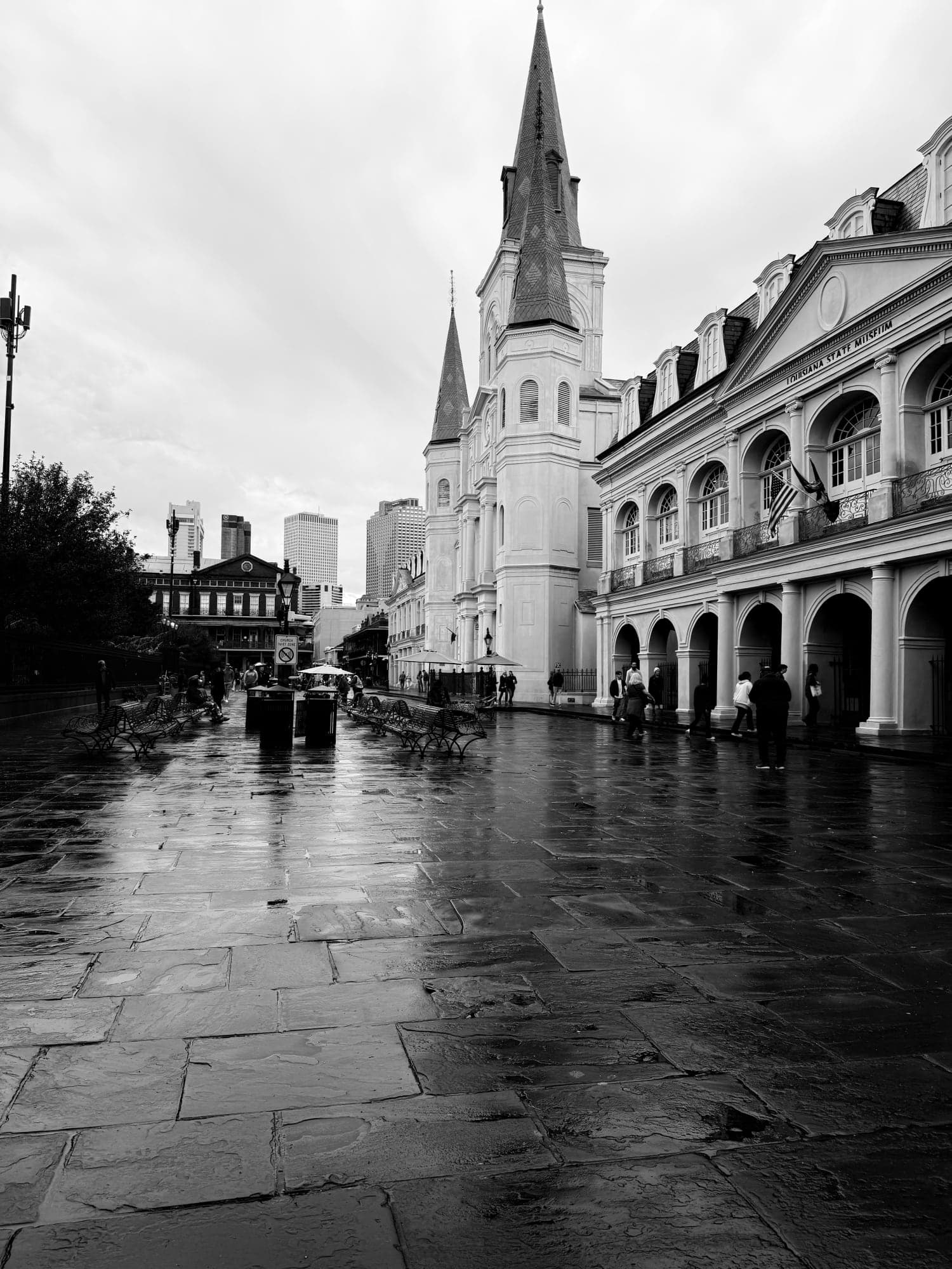 Enjoy New Orleans with Your Family curated by Bridget Molle