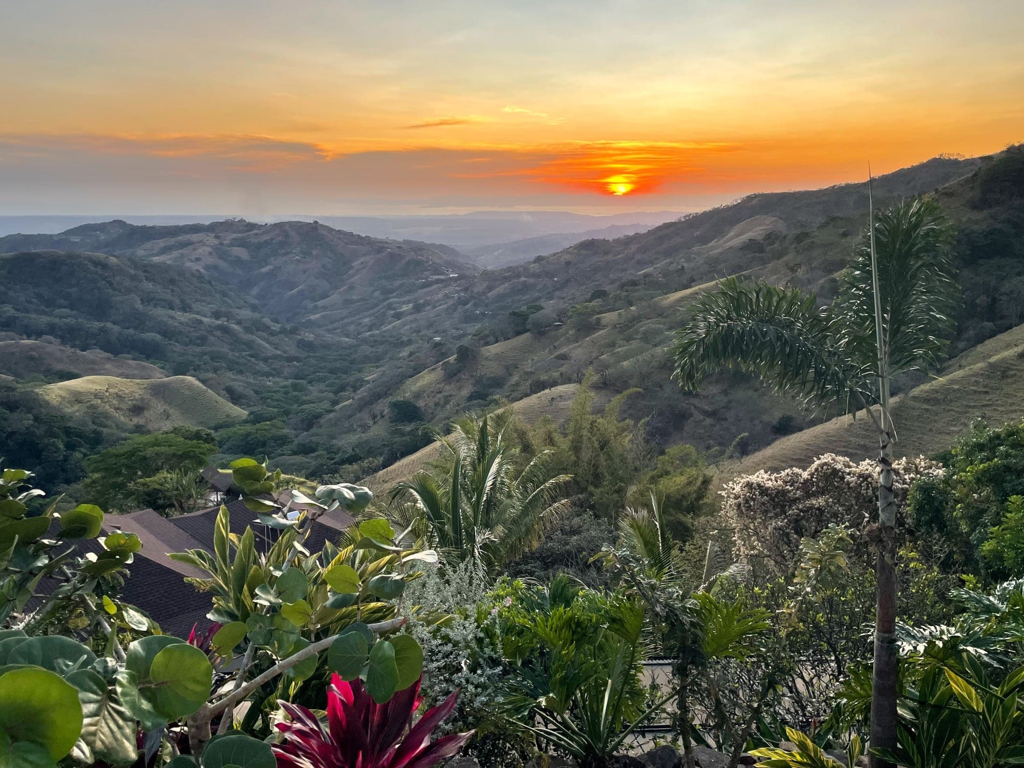 Wellness Retreat in Costa Rica curated by Michelle Tuzzolino