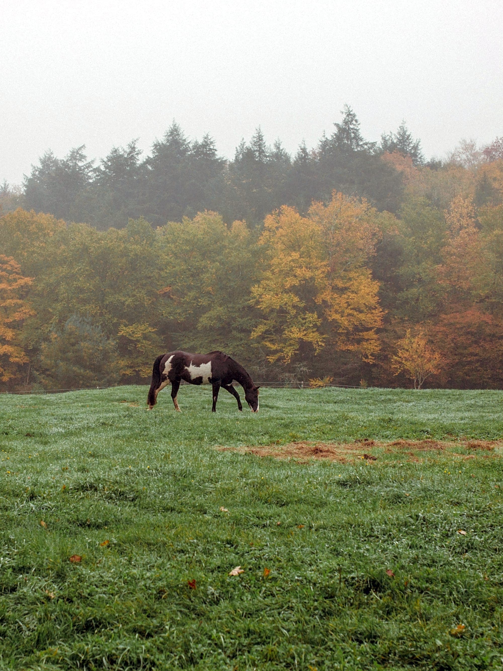 The Catskills Unplugged: Nature, Chill and Culture curated by Sara Talman
