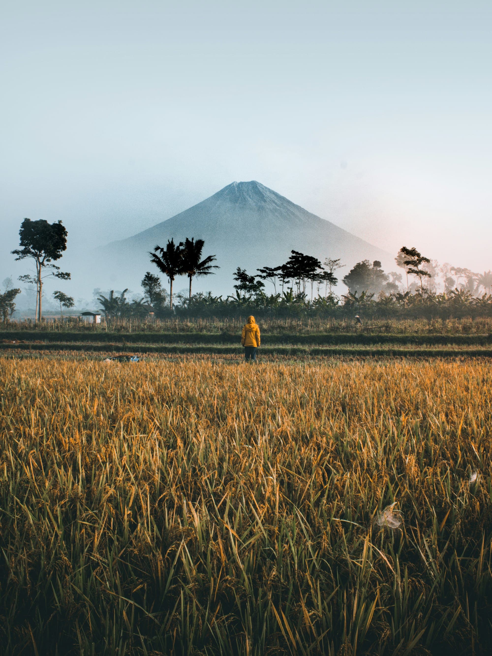 Ultimate Guide to an Adventurous Trip to Indonesia’s Islands curated by Savannah Bennett