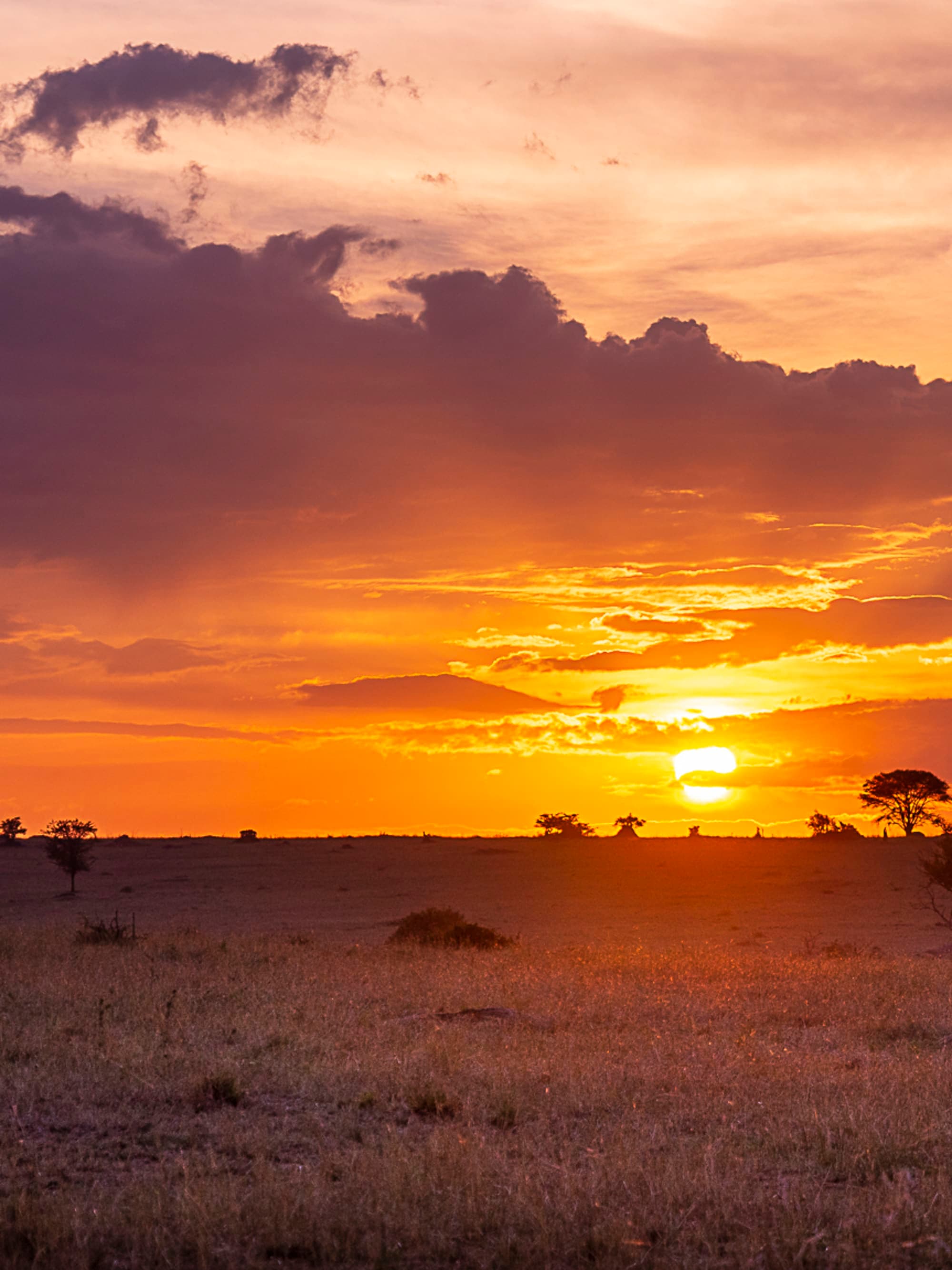 Your Unforgettable Honeymoon Safari in Tanzania curated by Luca Montagnino