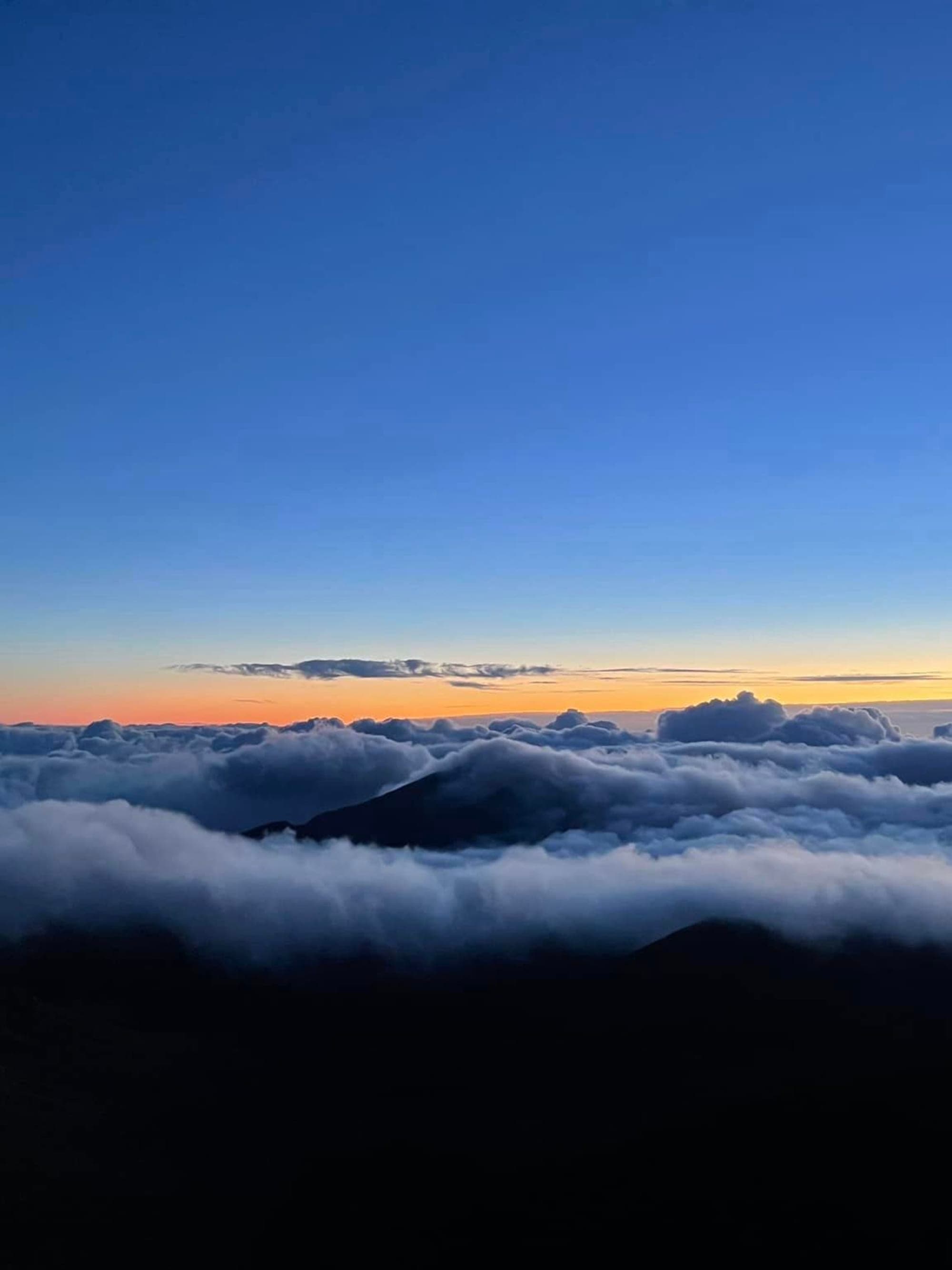 Maui is Always a Good Idea curated by Lindsay Mcknight