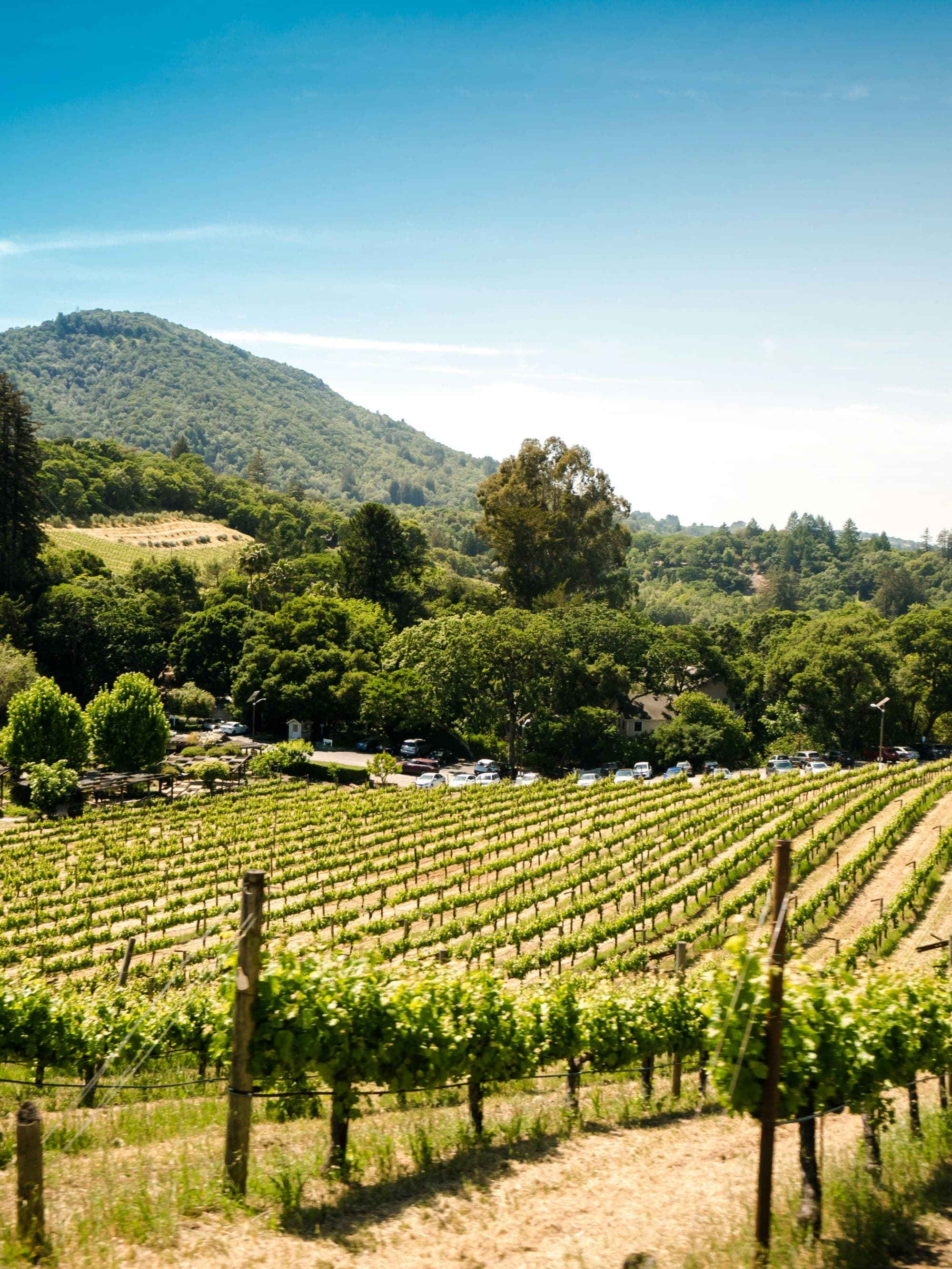 Welcome to the Willamette Valley curated by Angie Tramelli