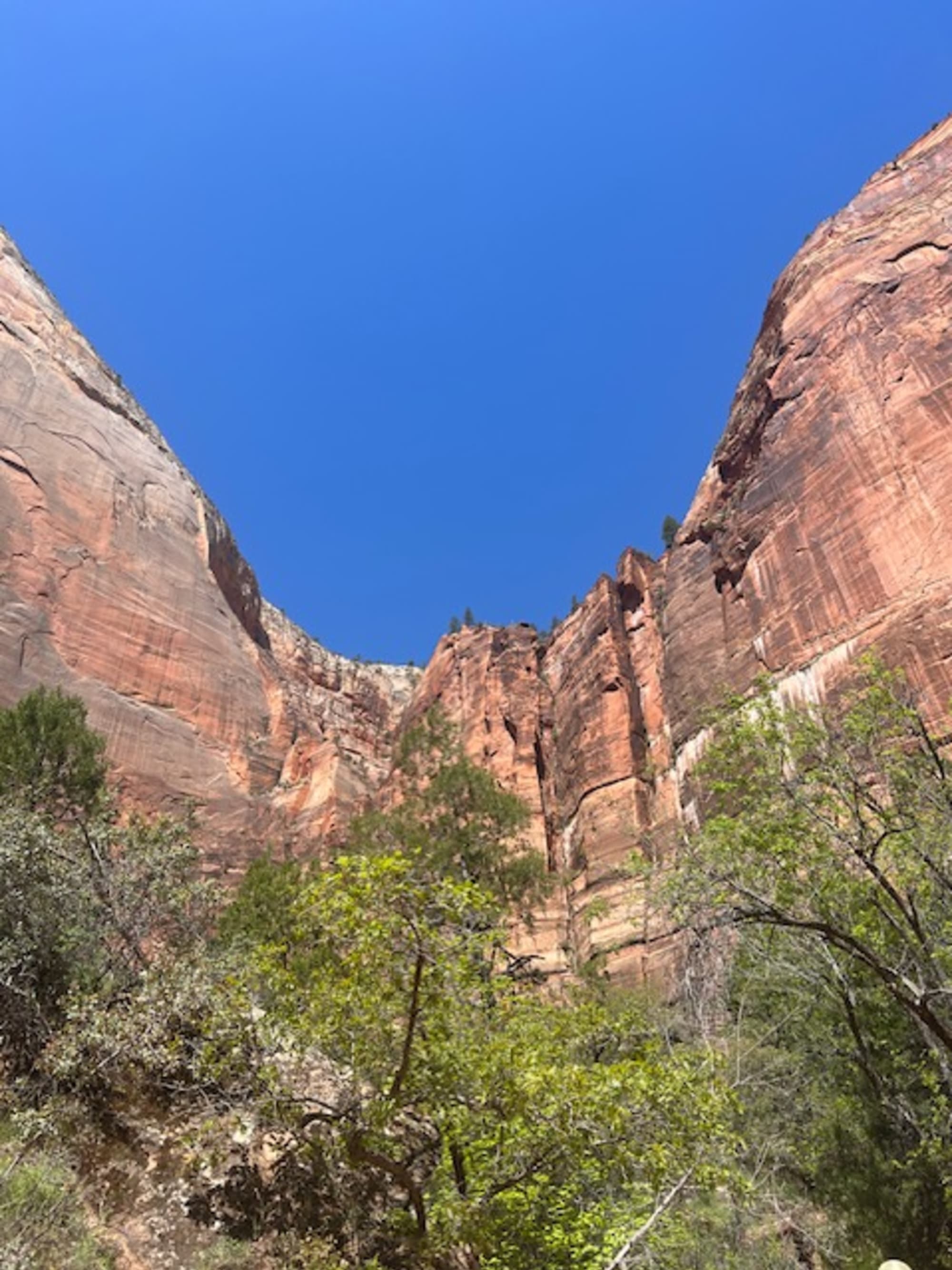 Bryce, Bryce Baby: Family Fun in Utah’s National Parks curated by Sari Laufer