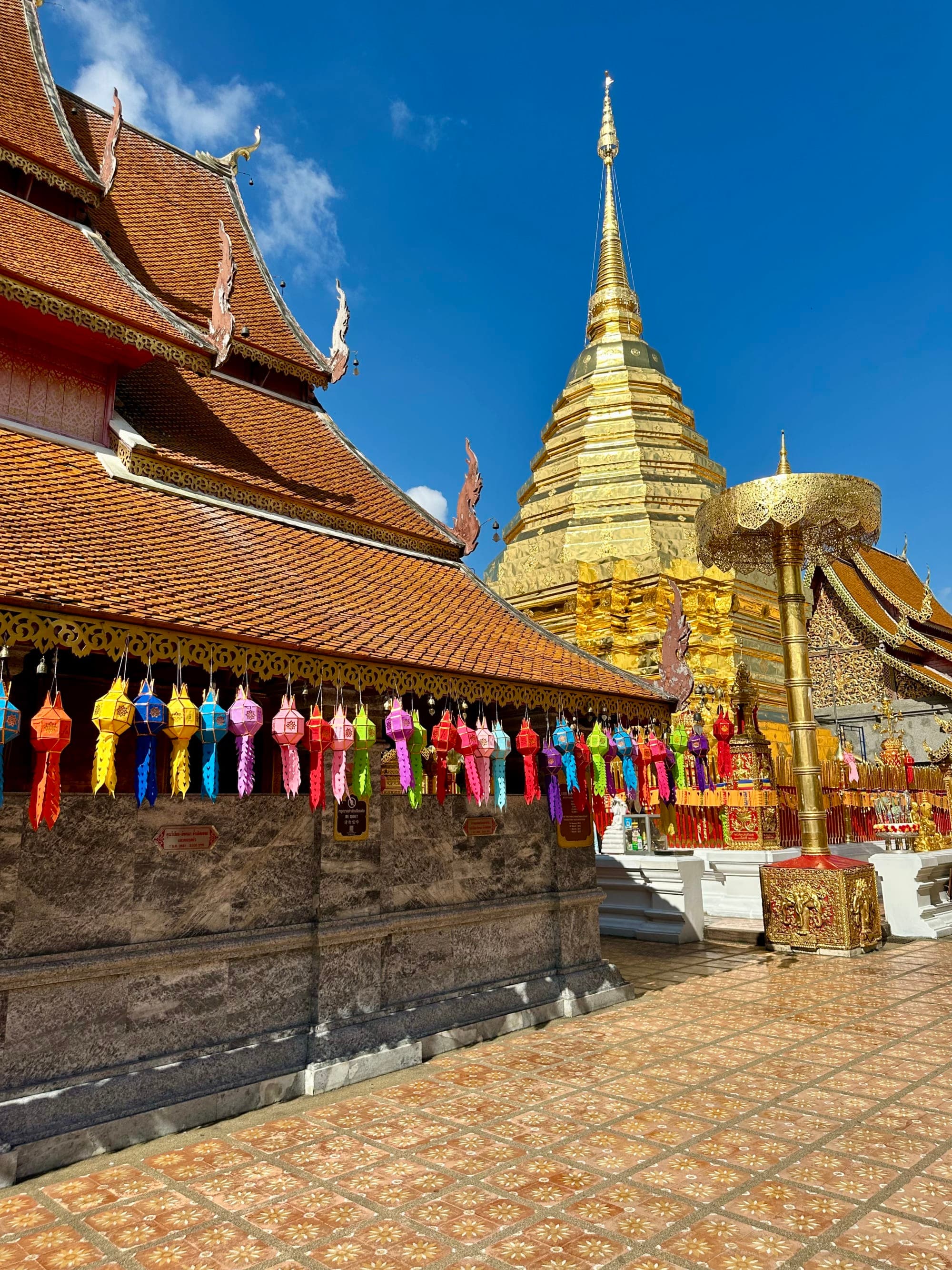 From Thai Street Food to Sanctuaries: Journey Through Bangkok, Chiang Mai and Phuket curated by Arielle Heller
