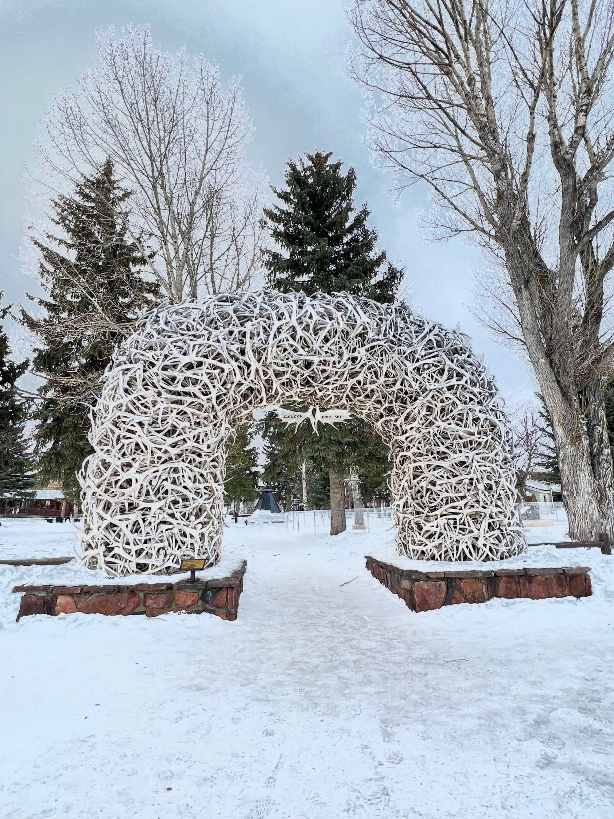 Explore Wintery Jackson Hole curated by Nichole Frisch
