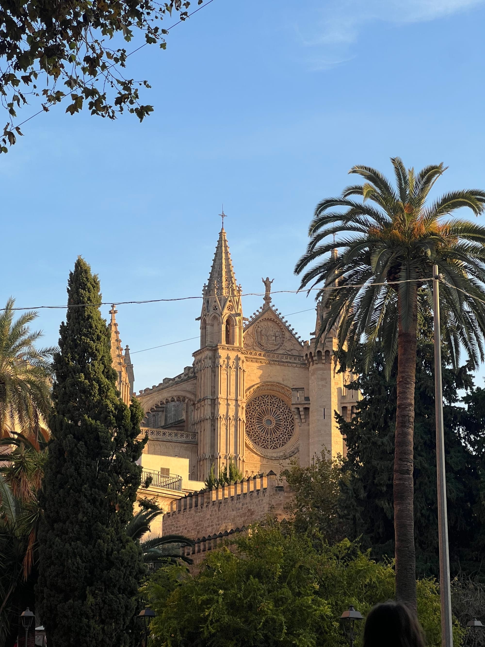 Mallorca: Spain's Hidden Gem curated by Gloria Elwood