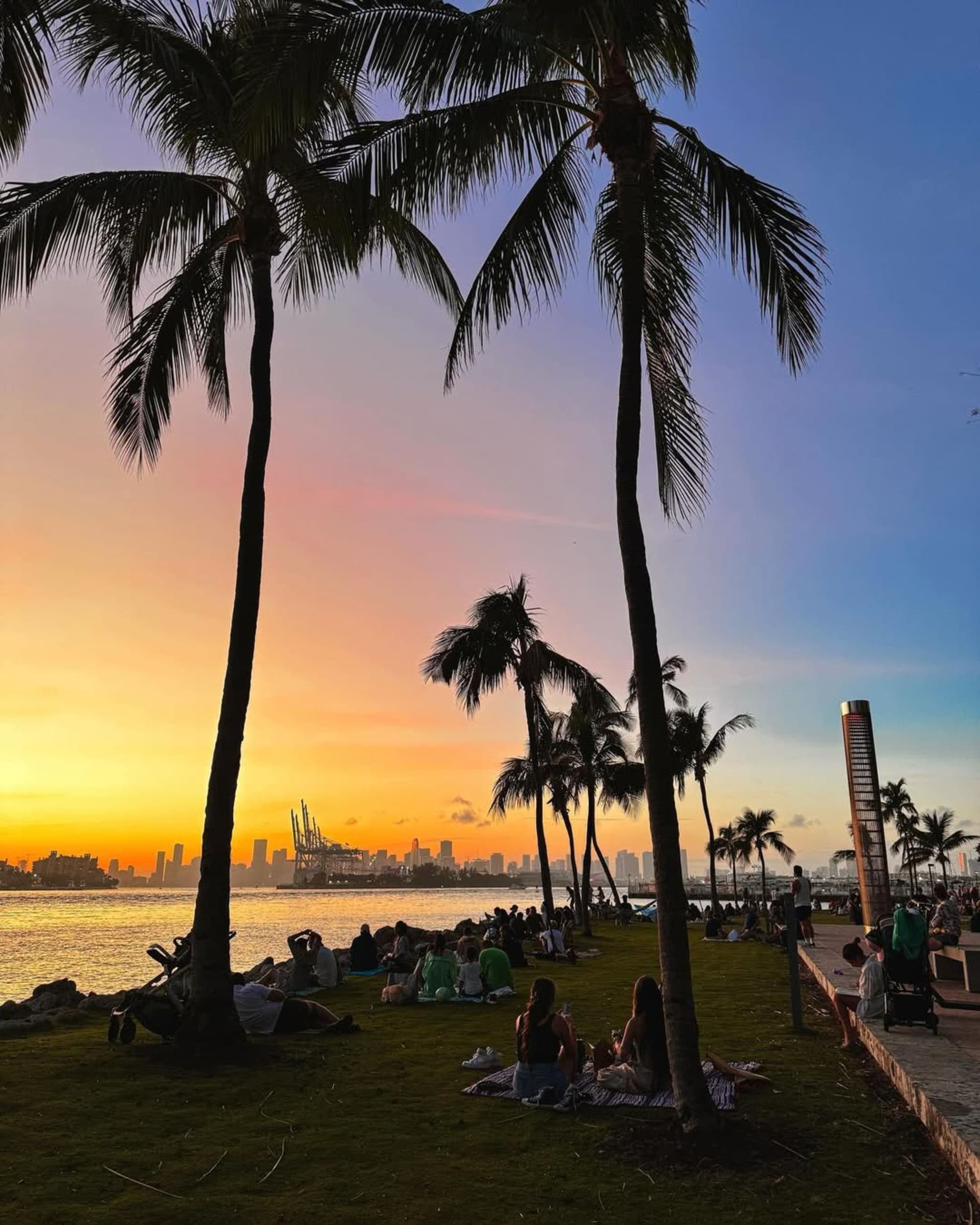 Where's Hot In Miami Right Now curated by Christina Seredzinsky