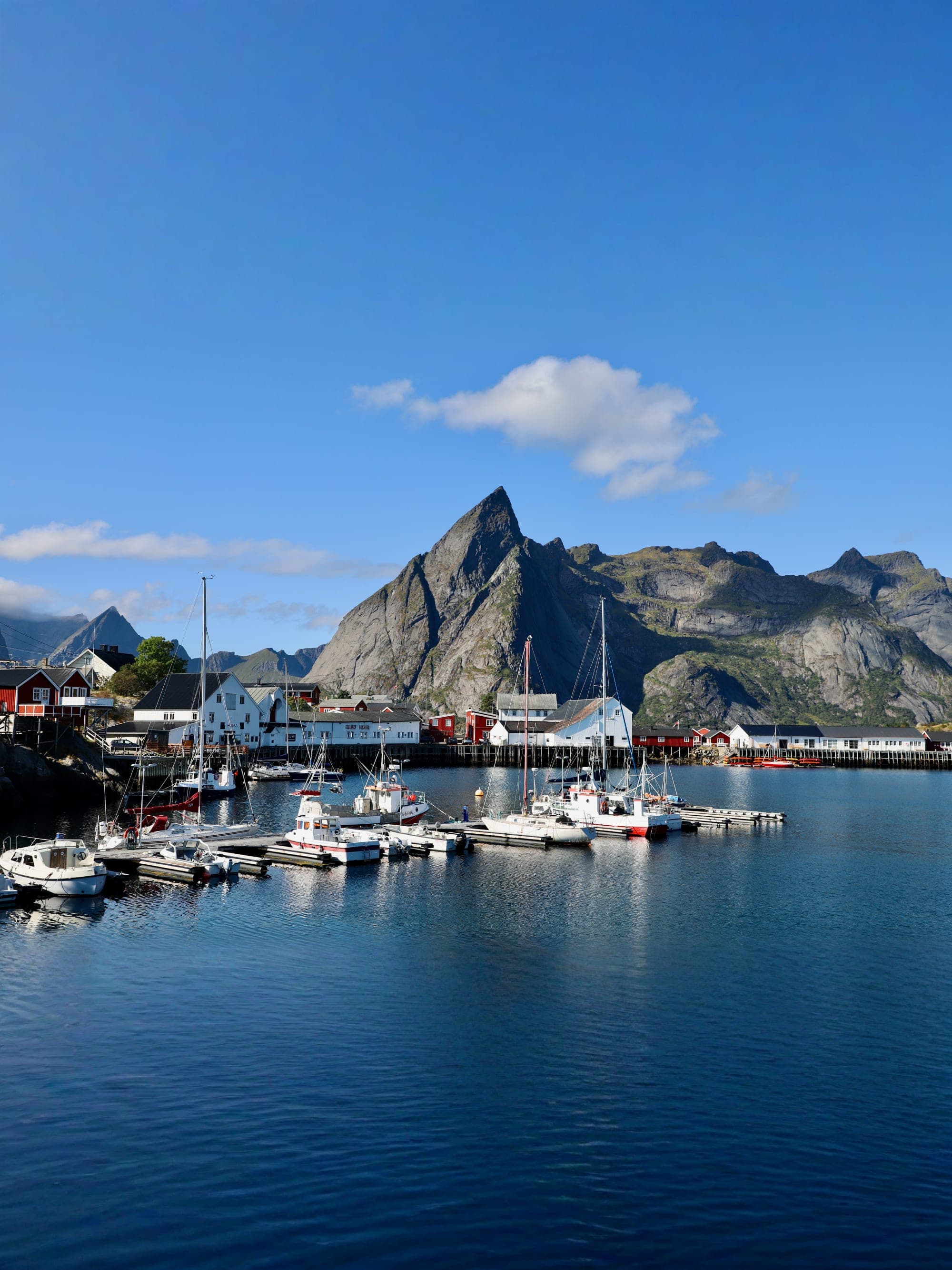 Lofoten Adventure: A Seven-Day Journey Through Stunning Nature and Viking History curated by Richelle Sierra