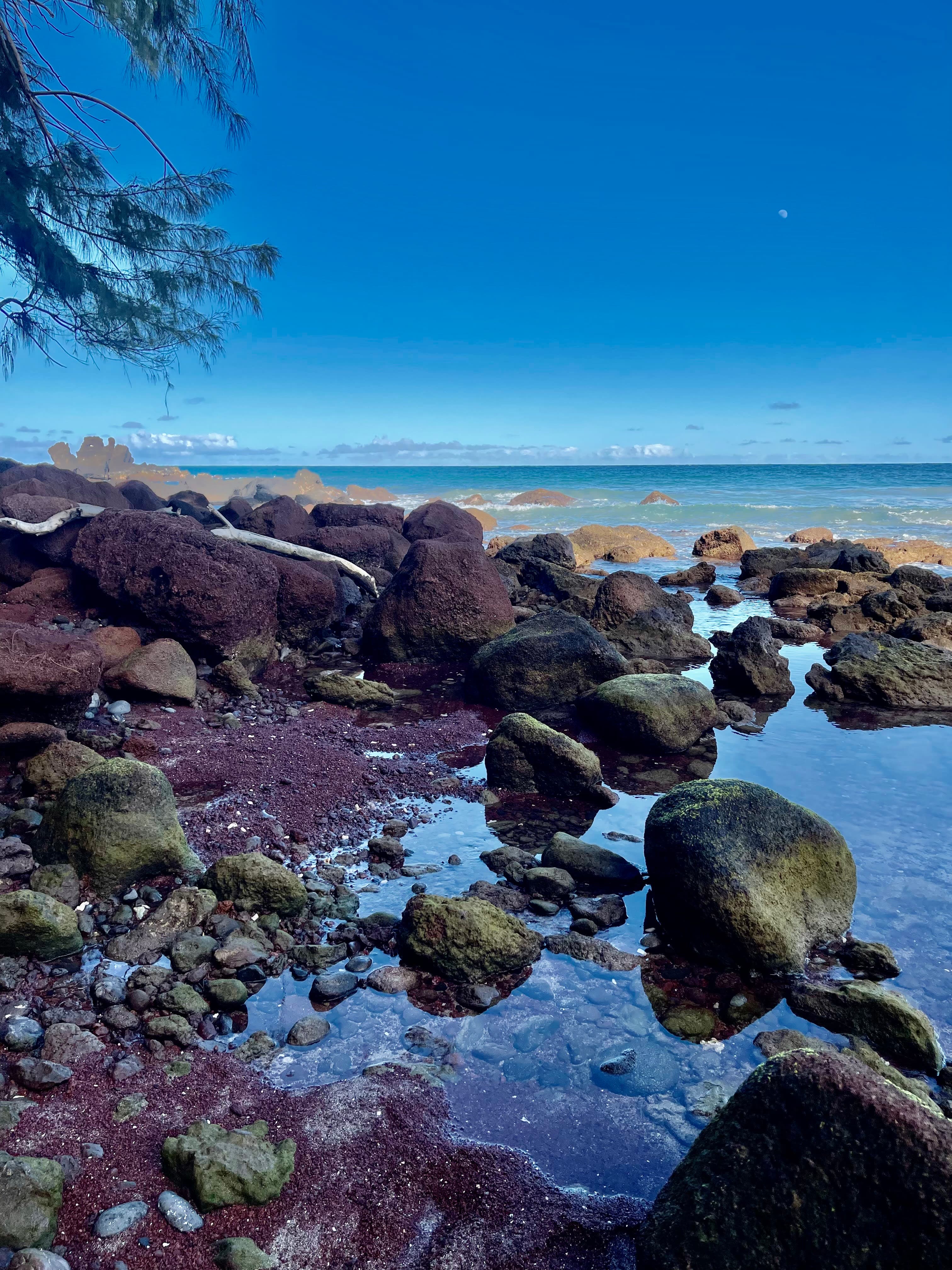 Beautiful view of a rocky shore