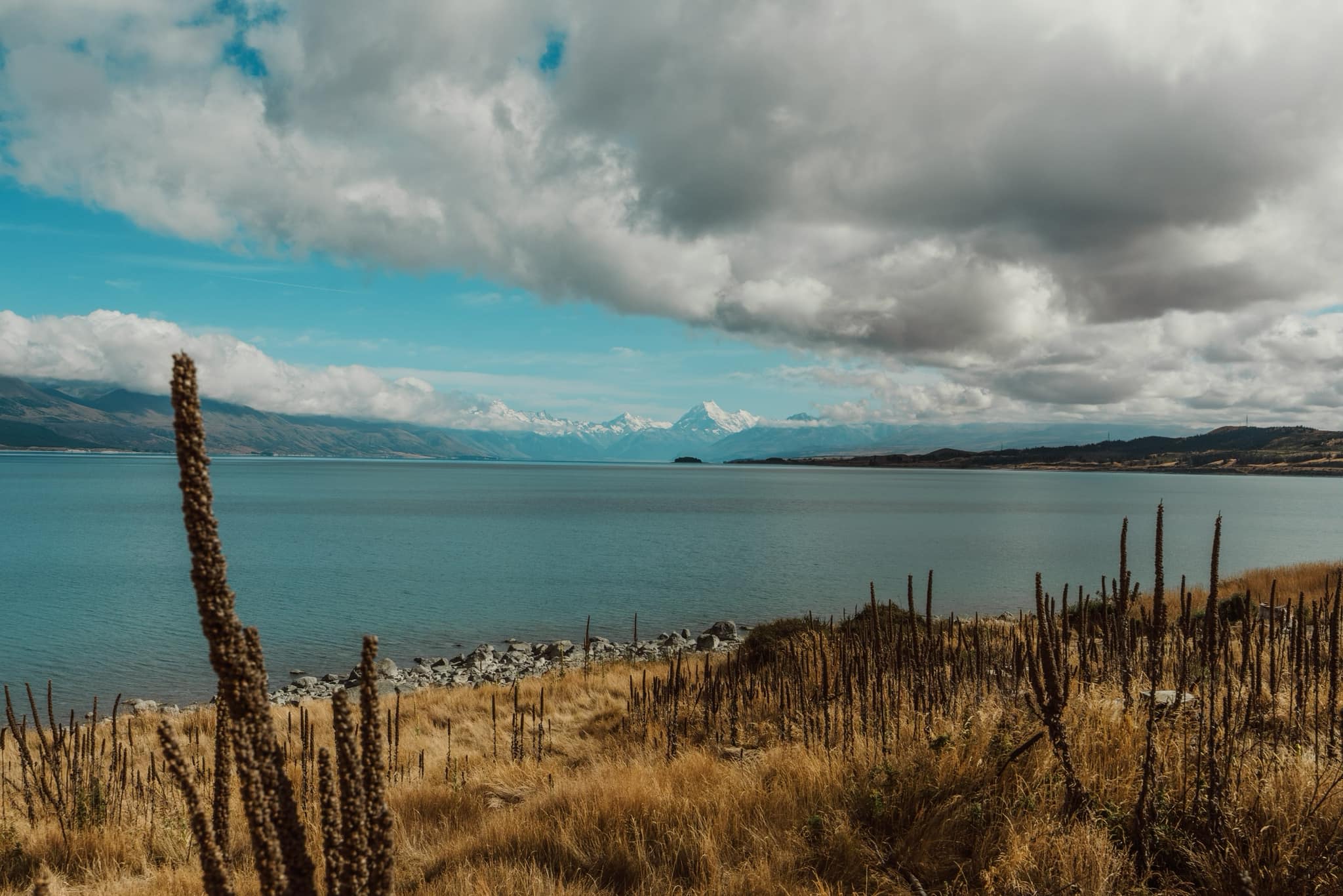 View of the ocean from the top of a hill with yellow-colored foliage on a cloudy day