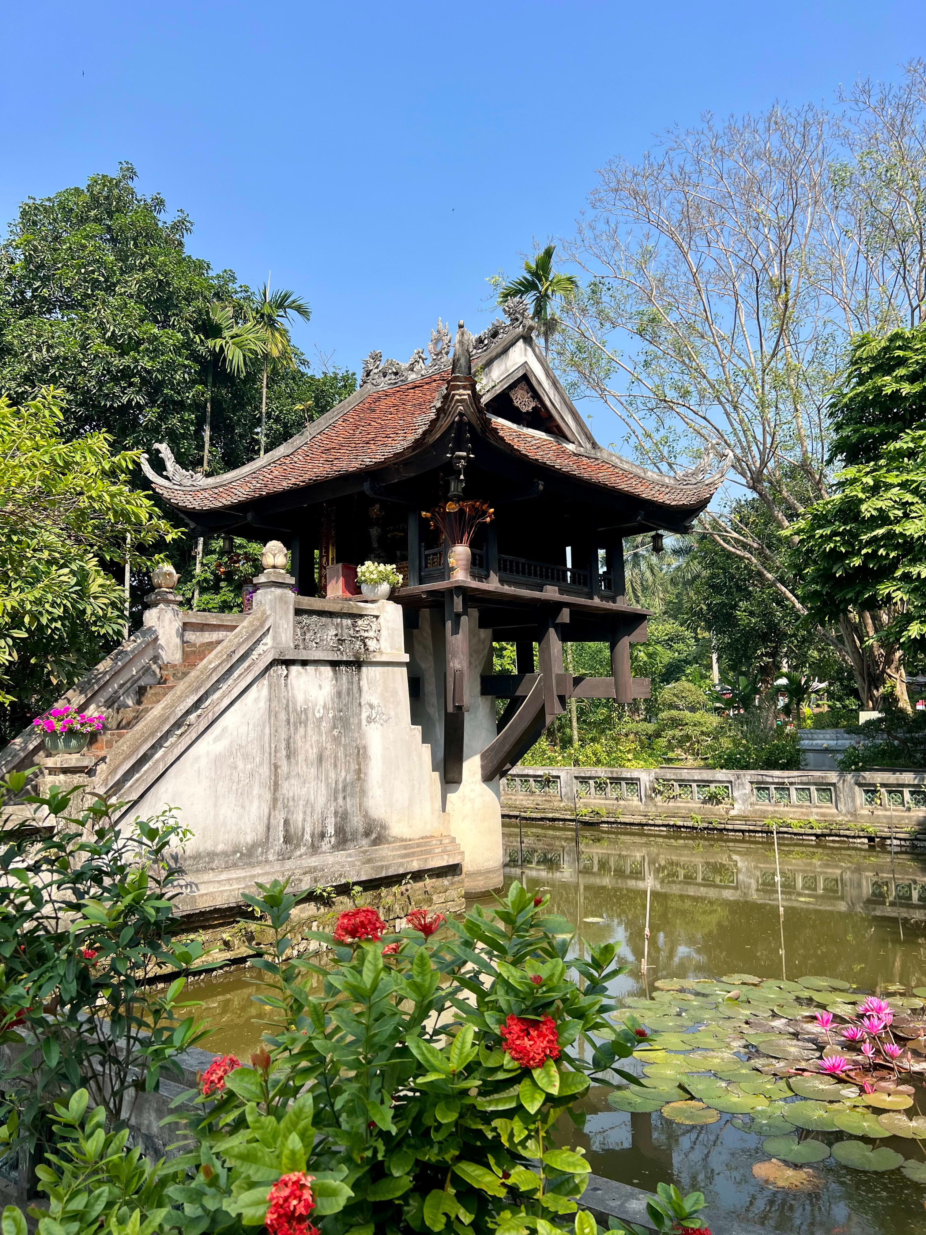 View of a pond with water lilies