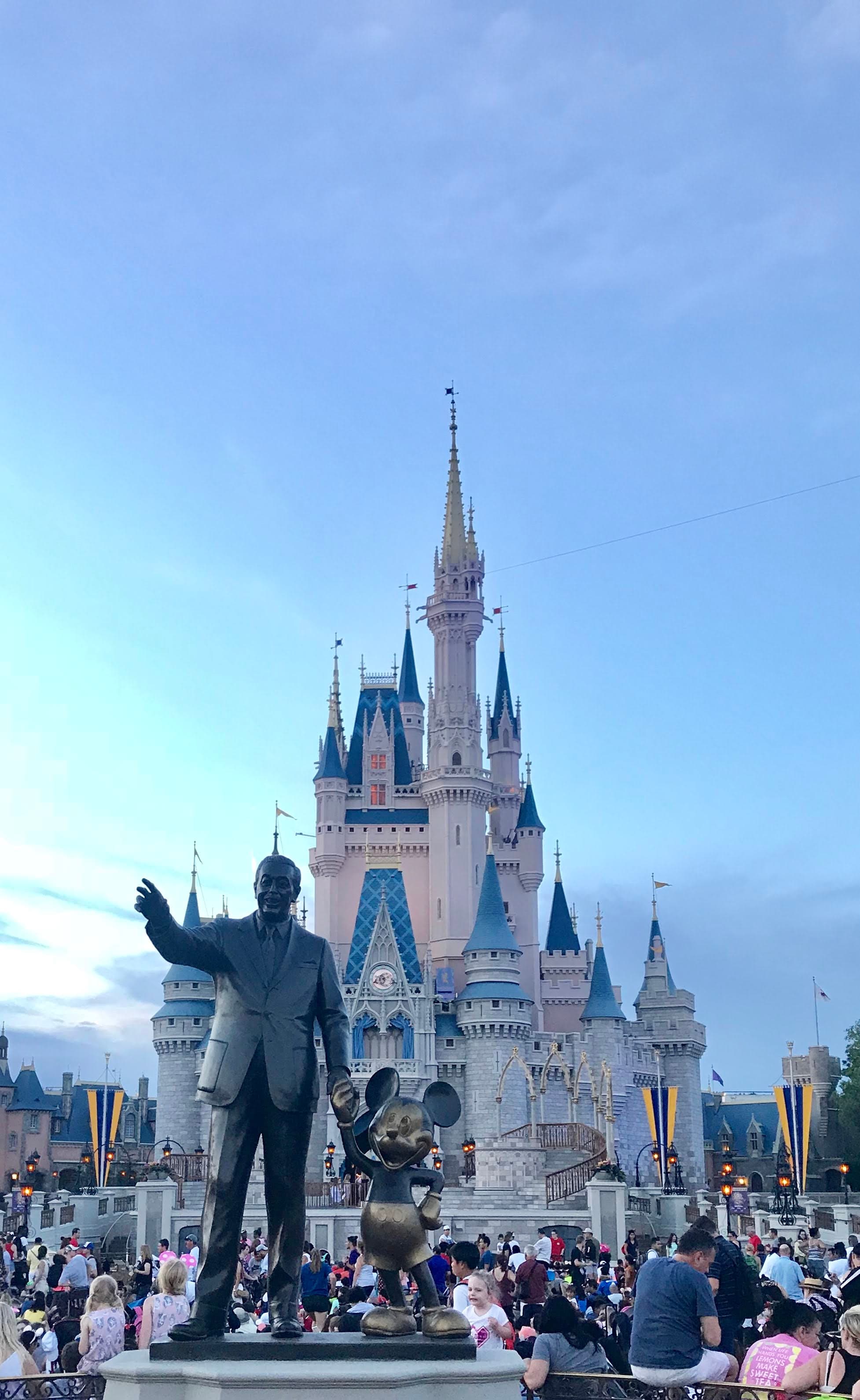 View of Magic Kingdom Park