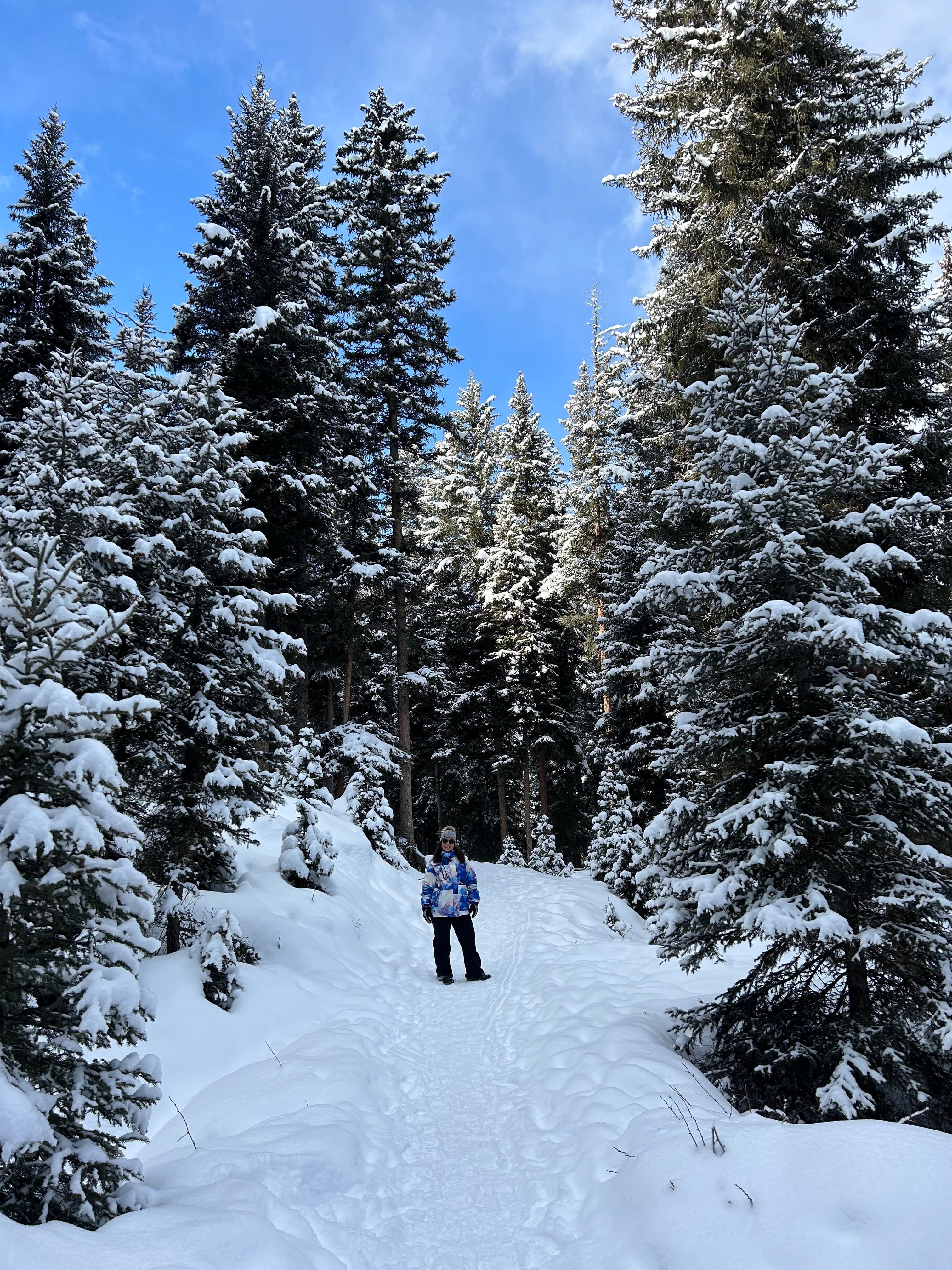 View of snow covered tree