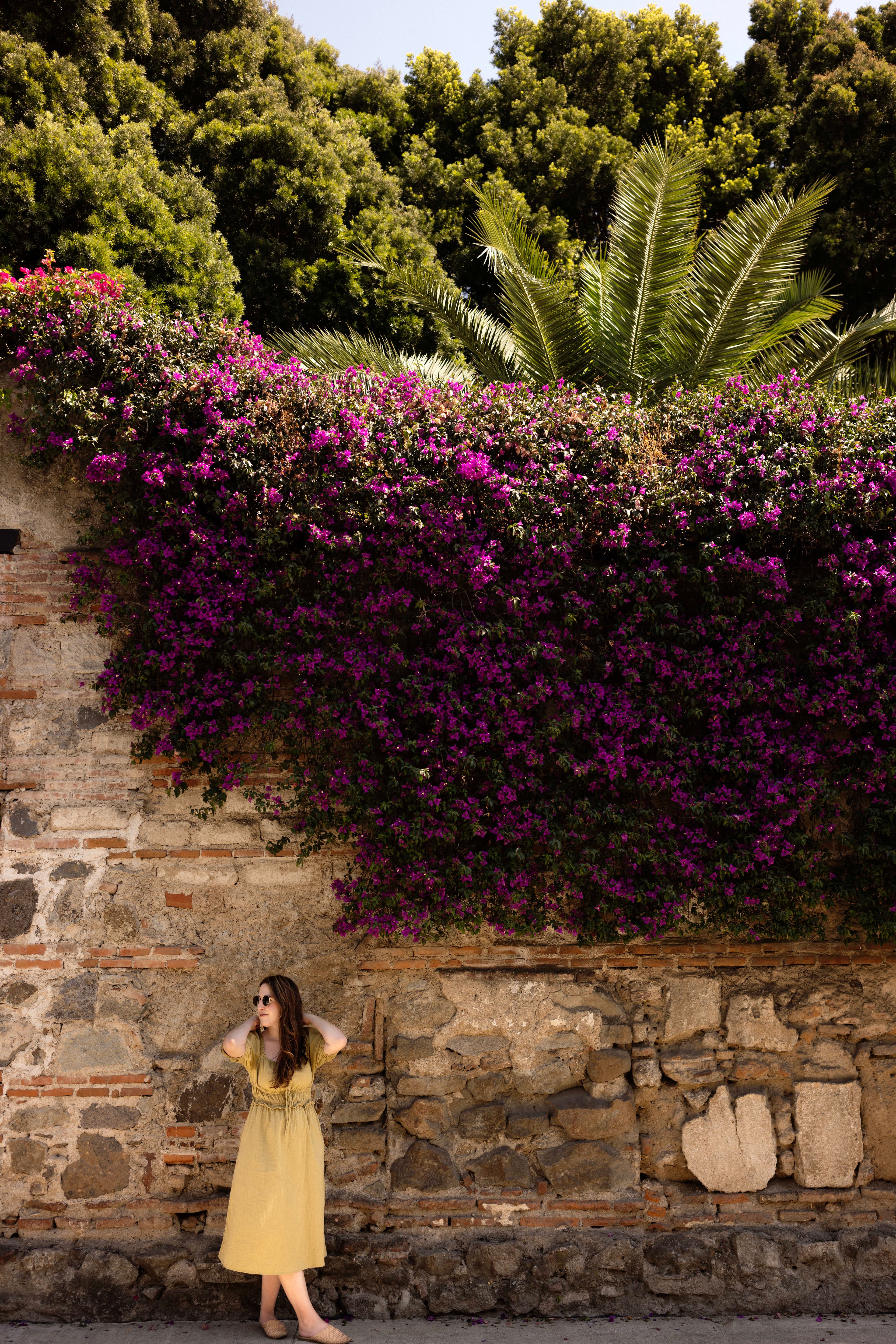 Posing for a photo in front of a wall covered with Bougainvillea