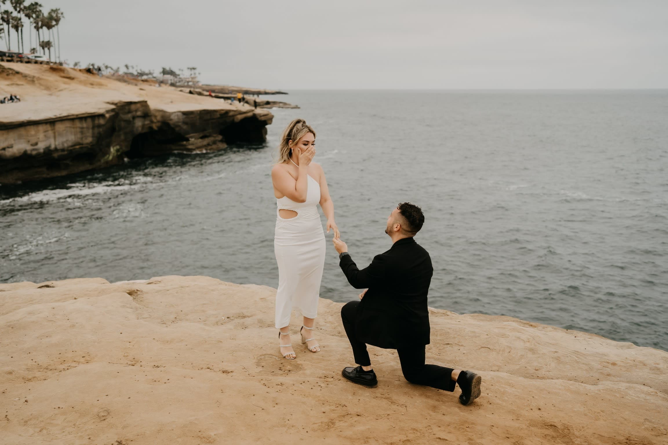 Proposing by the sea shore