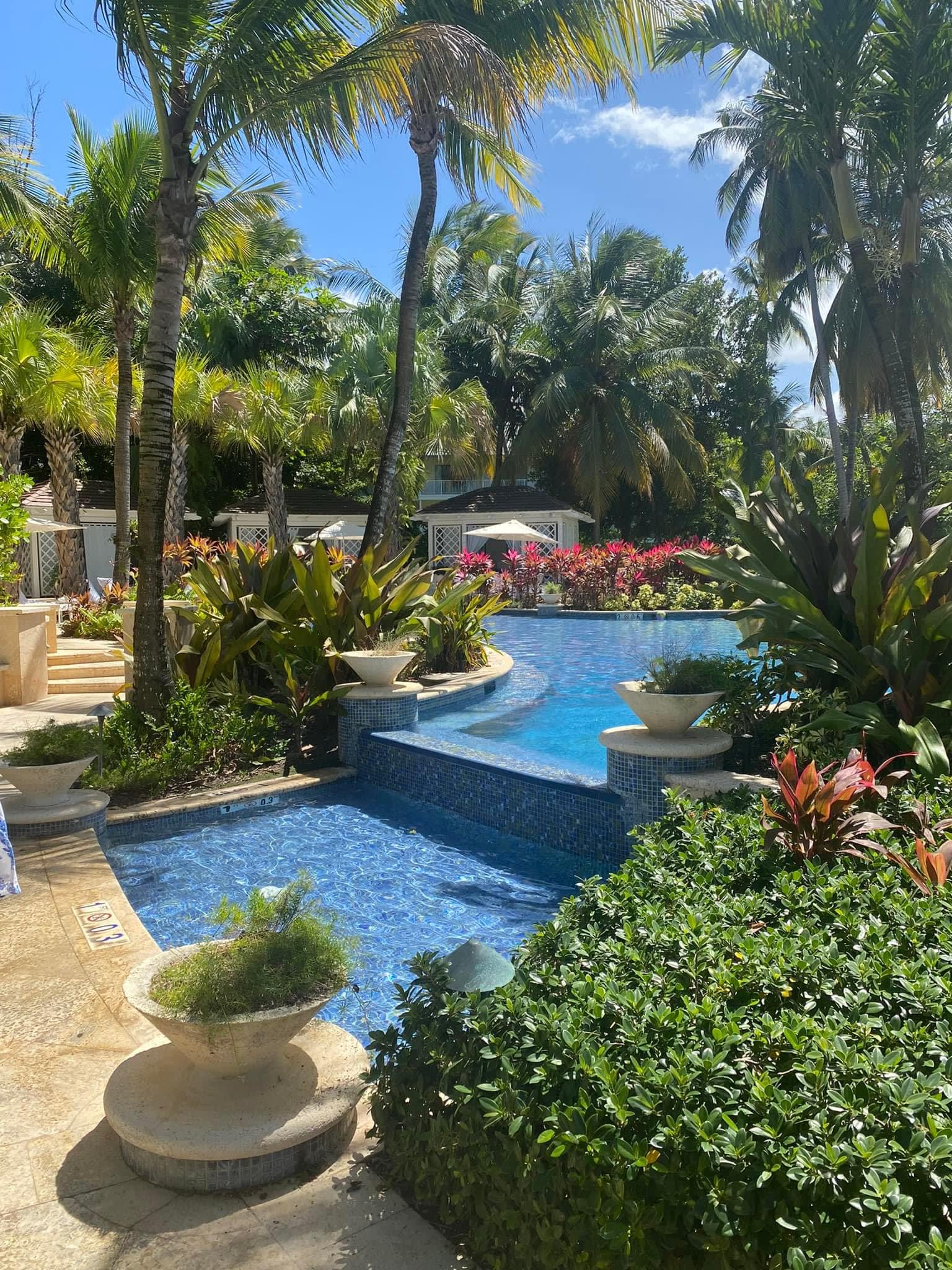 Beautiful view of the pool surrounded by plants