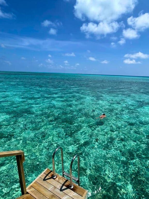 Swimming in the clear water of the sea