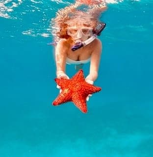 Snorkeling with a starfish