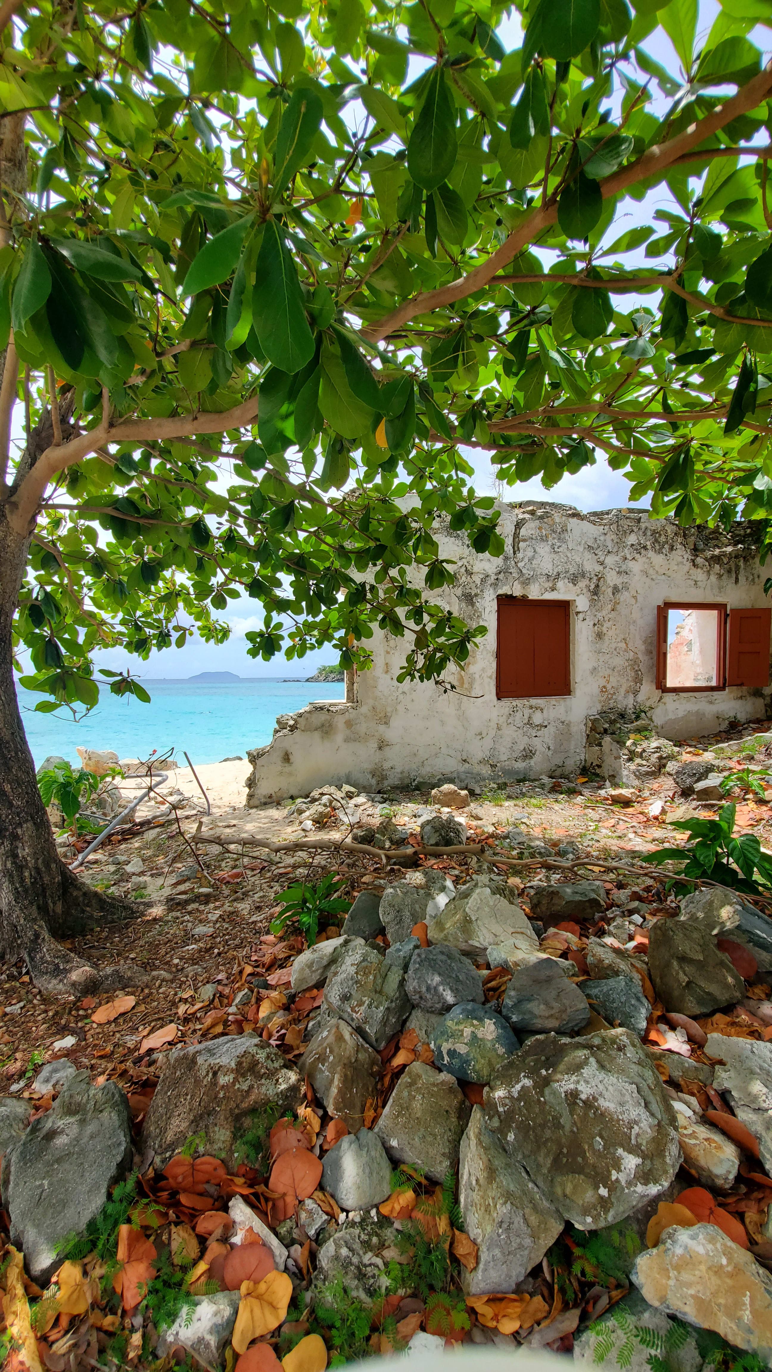 View of Cinnamon Bay 1680 Estate House Ruins