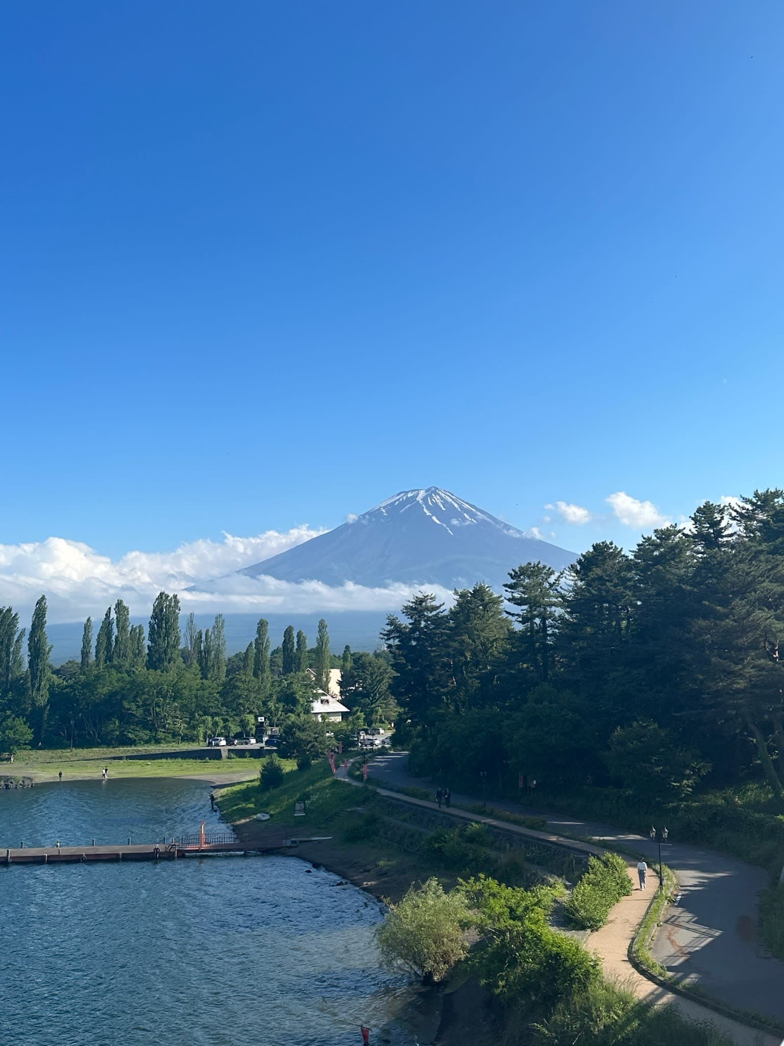 A river running through the forest with a large mountain in the background with snow-covered peaks.
