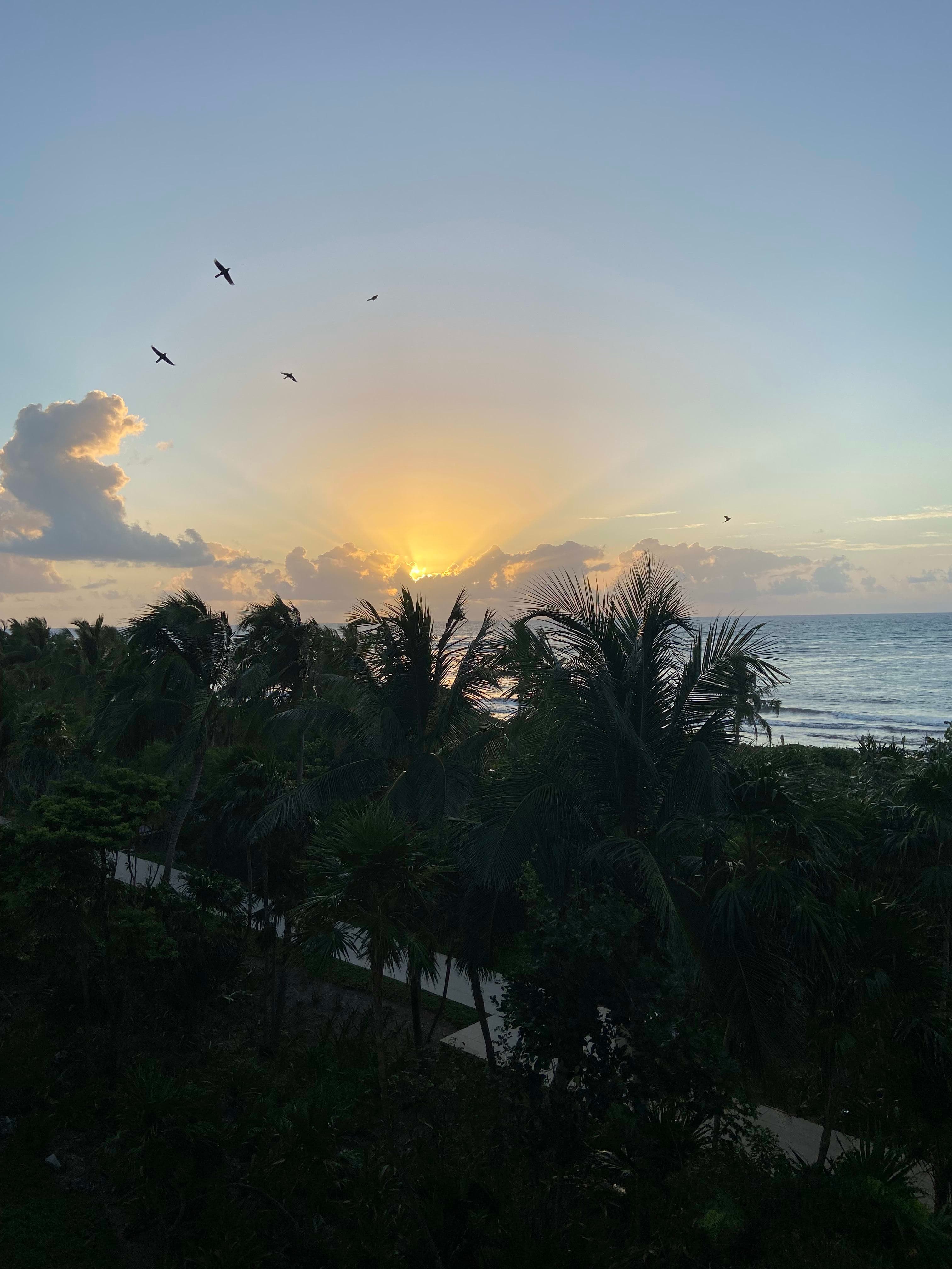 Beautiful view of sunrise