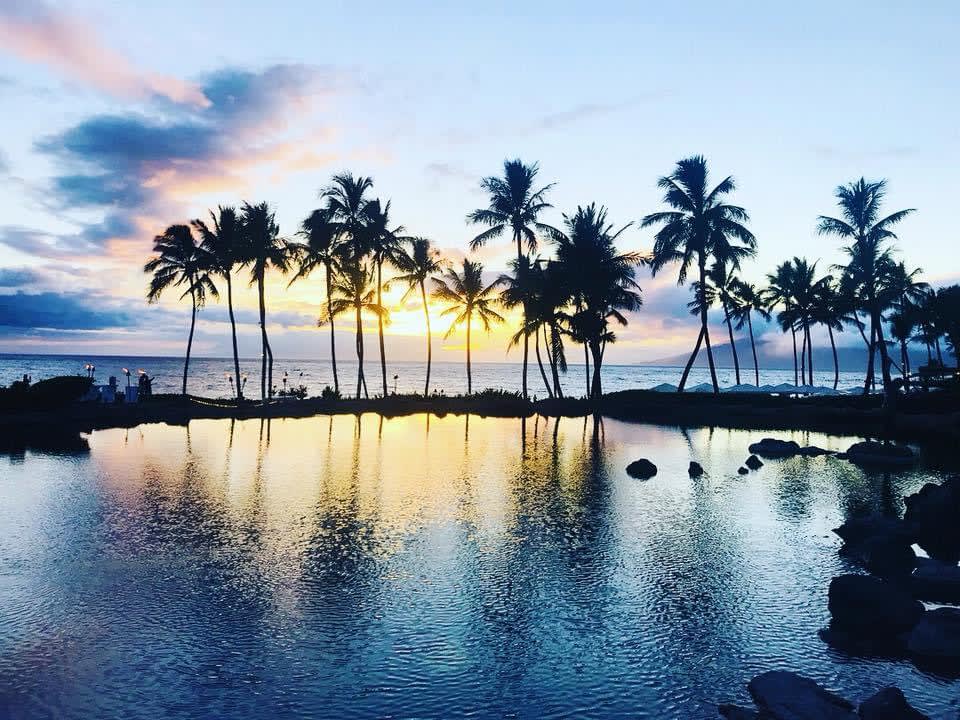 Beautiful view of sunset over a pool at a resort with the silhouettes of a row of palm trees