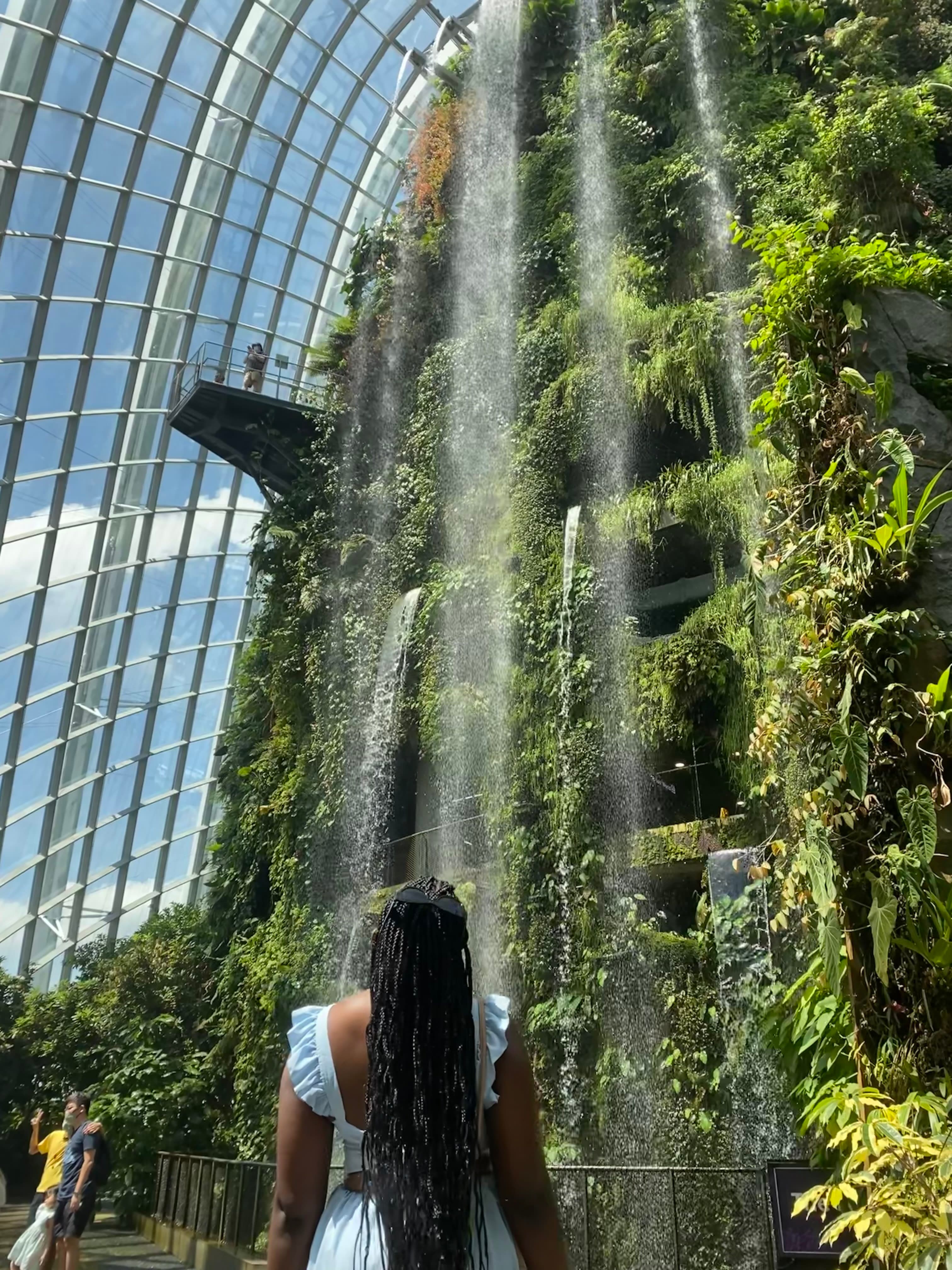 A photo of travel advisor Rondene from behind looking at a beautiful forest wall with waterfalls and a floor to ceiling window