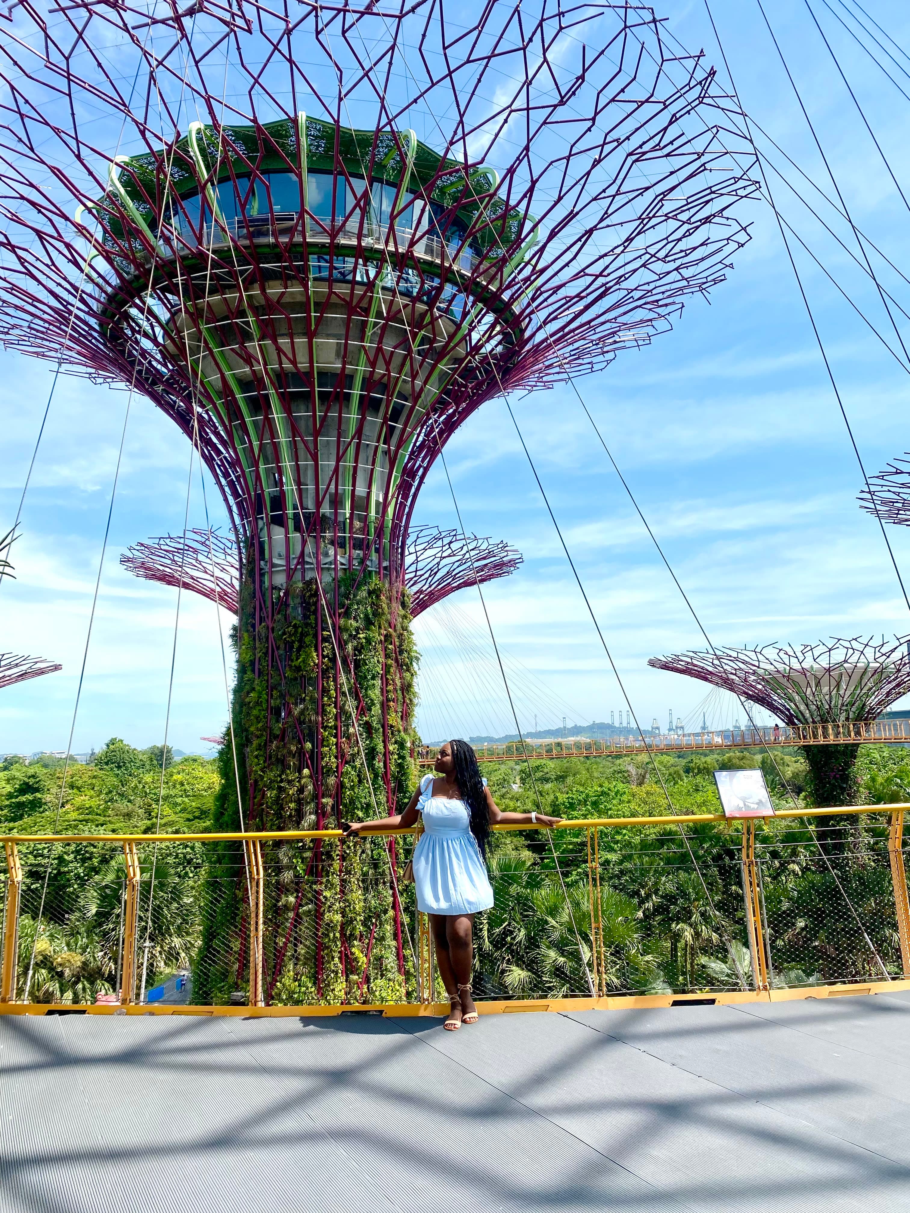 Travel advisor Rondene Gardens by the Bay looking at the unique branch