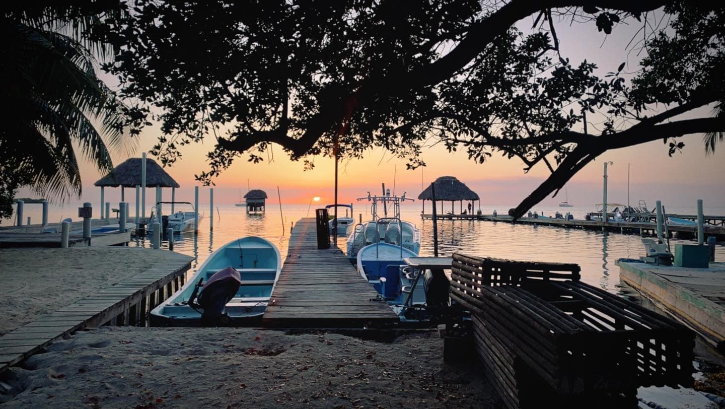 Beautiful view of small boats at a dock at sunset