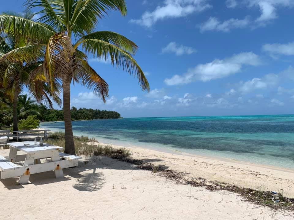 Beautiful view of beach with different shades of blue water, palm trees and a white picnic bench