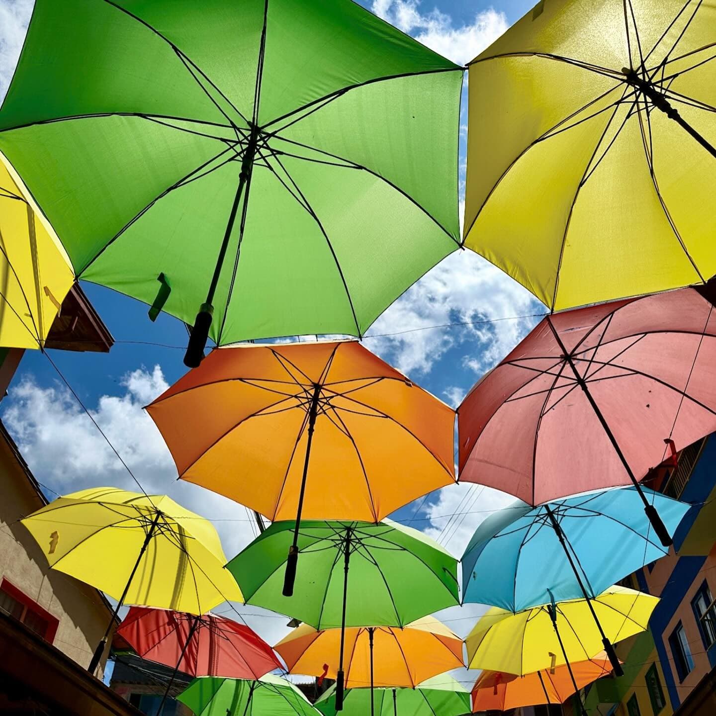 Colorful umbrellas hanging outdoors