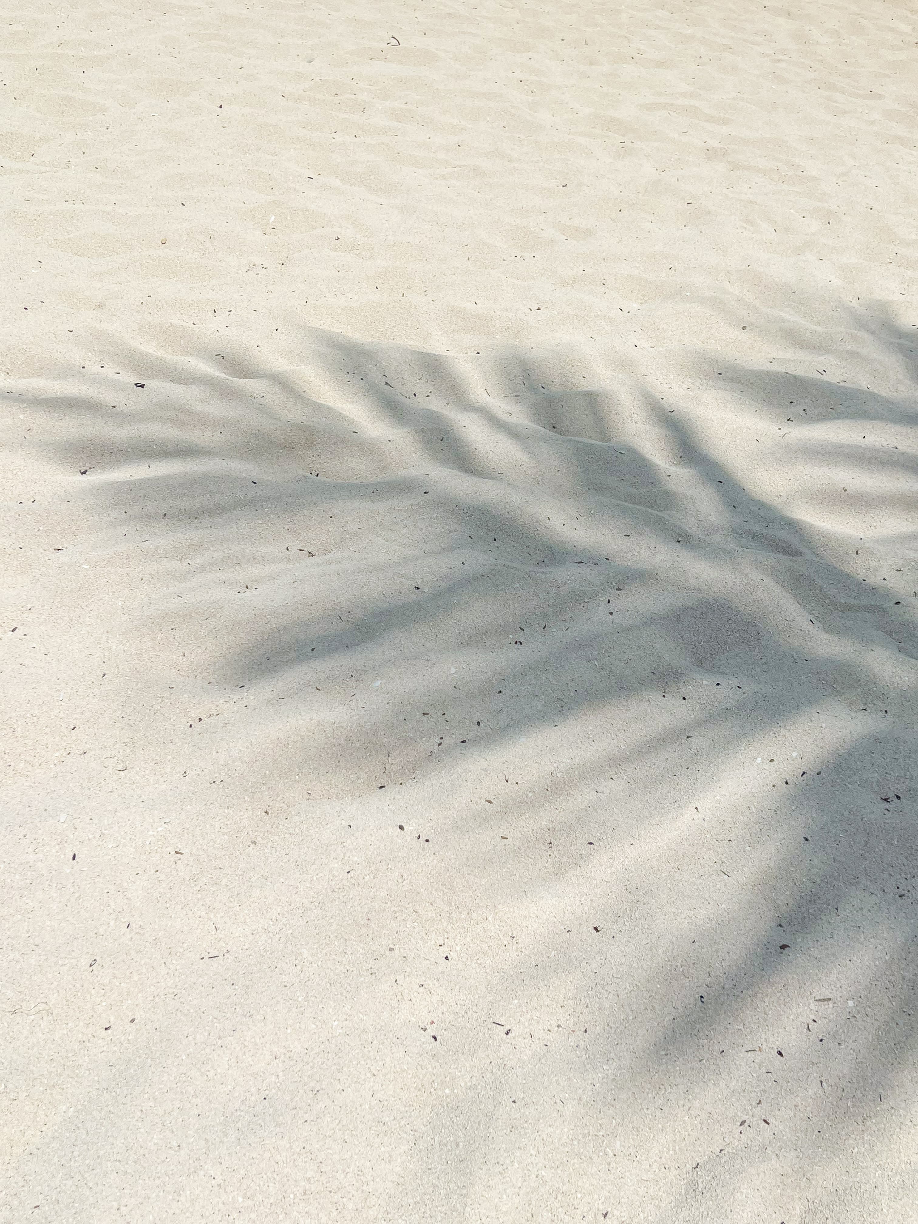 A photo fo a palm tree leave's shadow on the sand