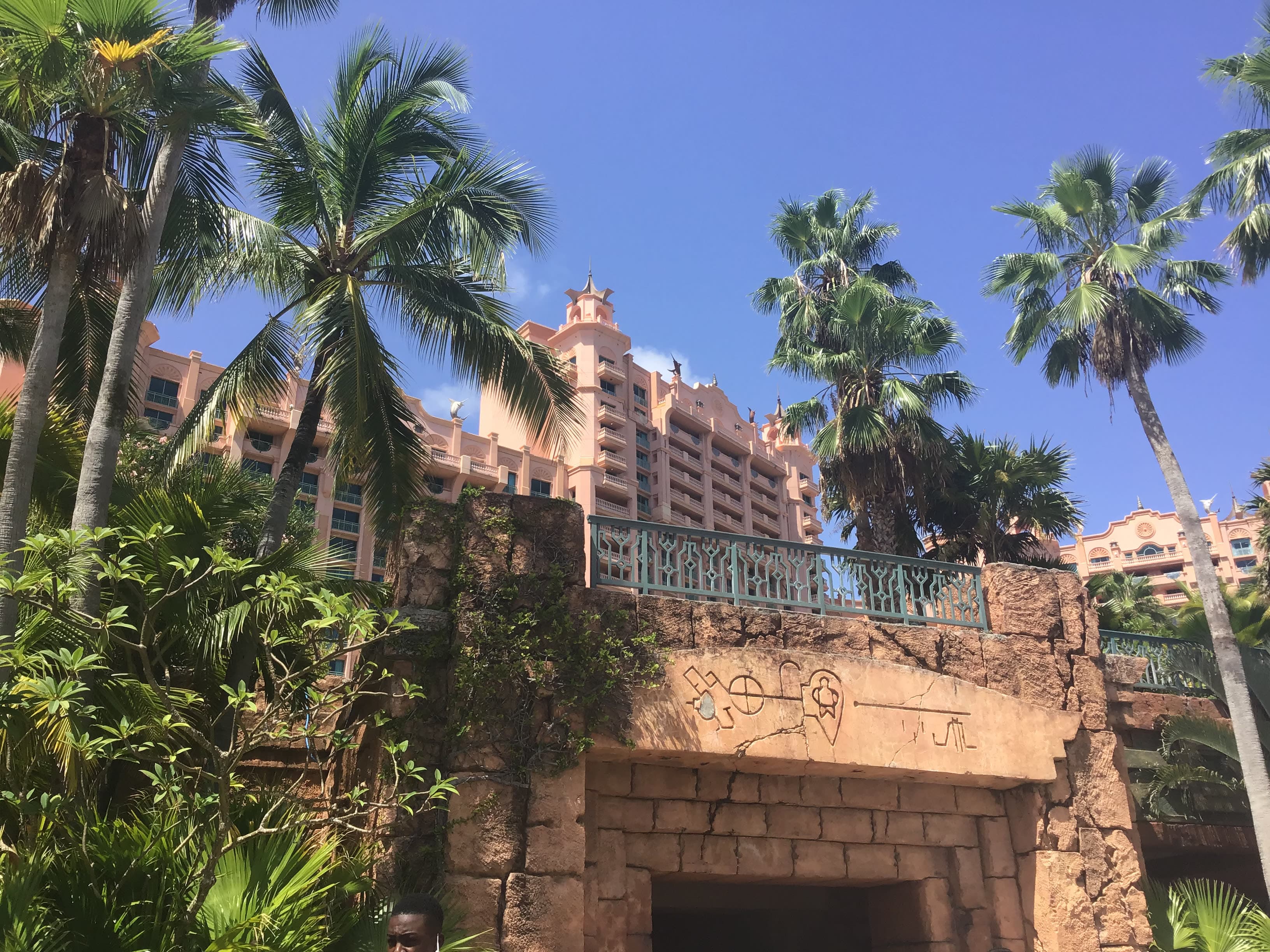 View of palm trees and a bridge at a large resort on a sunny day