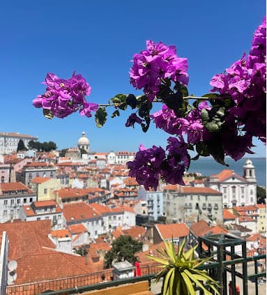 Aerial view of Lisbon from behind purple flowers