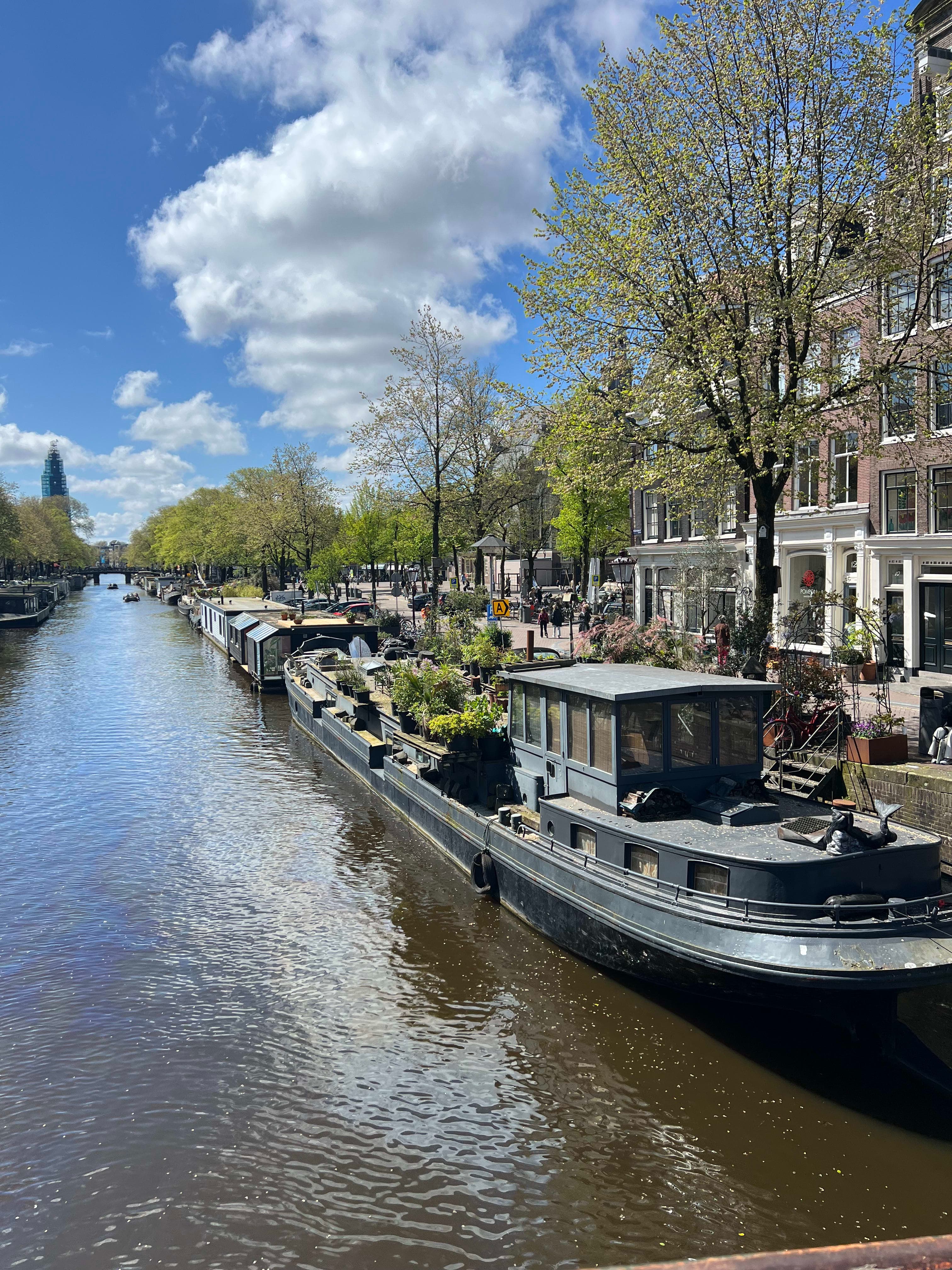 Boats along a river lined with trees