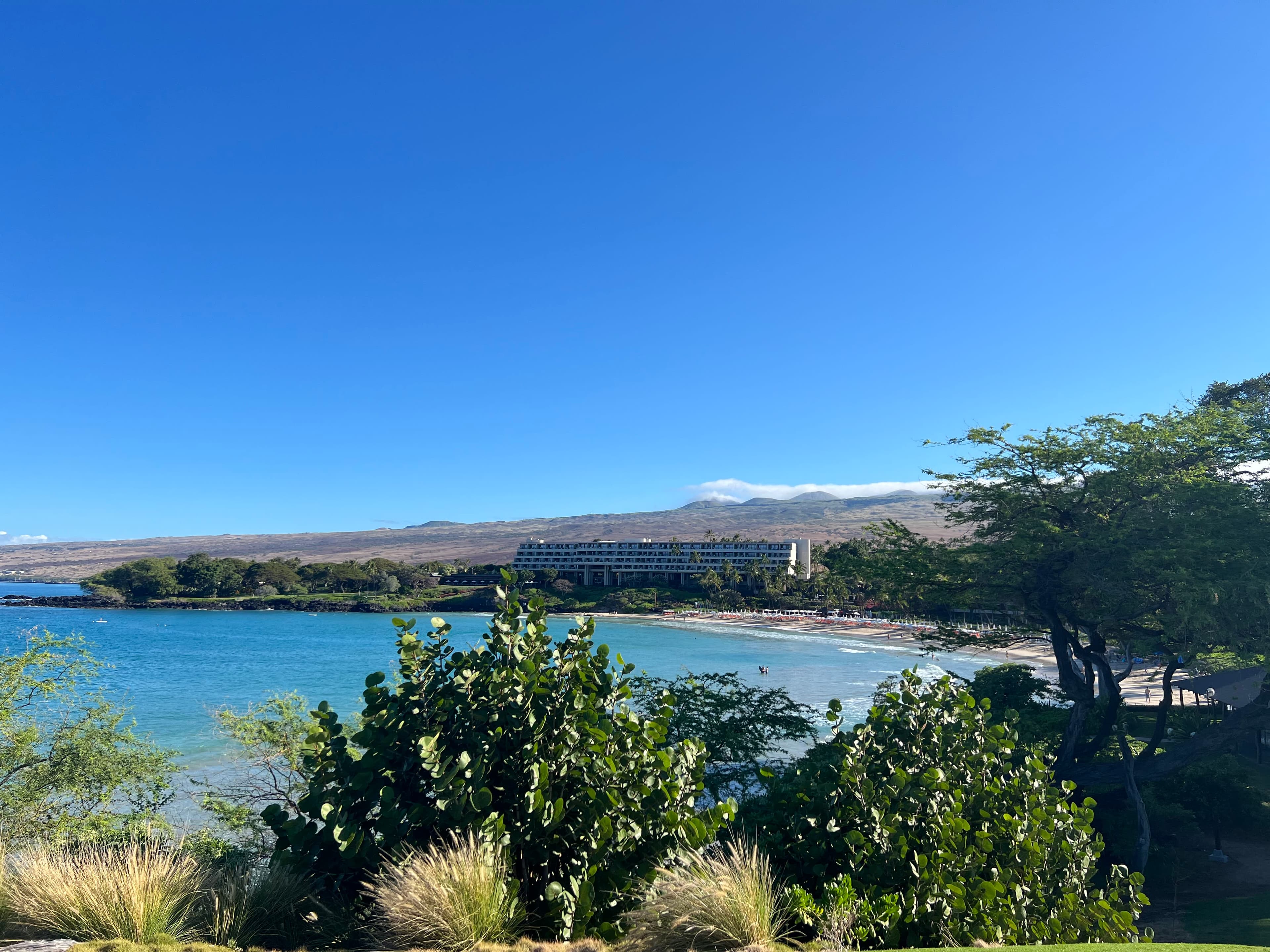 Beautiful view of the palm trees and the beach