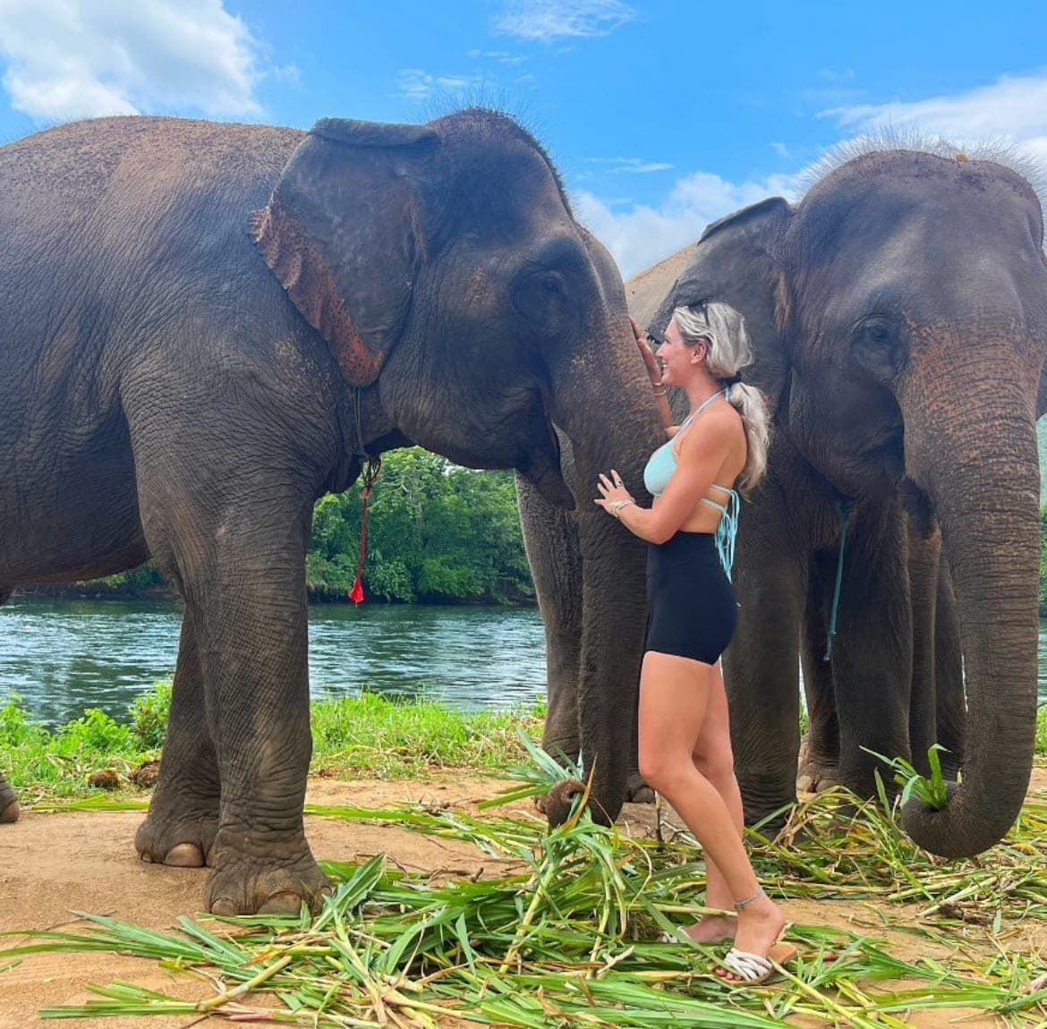 Picture of Margan with elephants