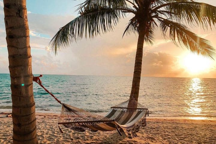 Beautiful view of sunset at beach