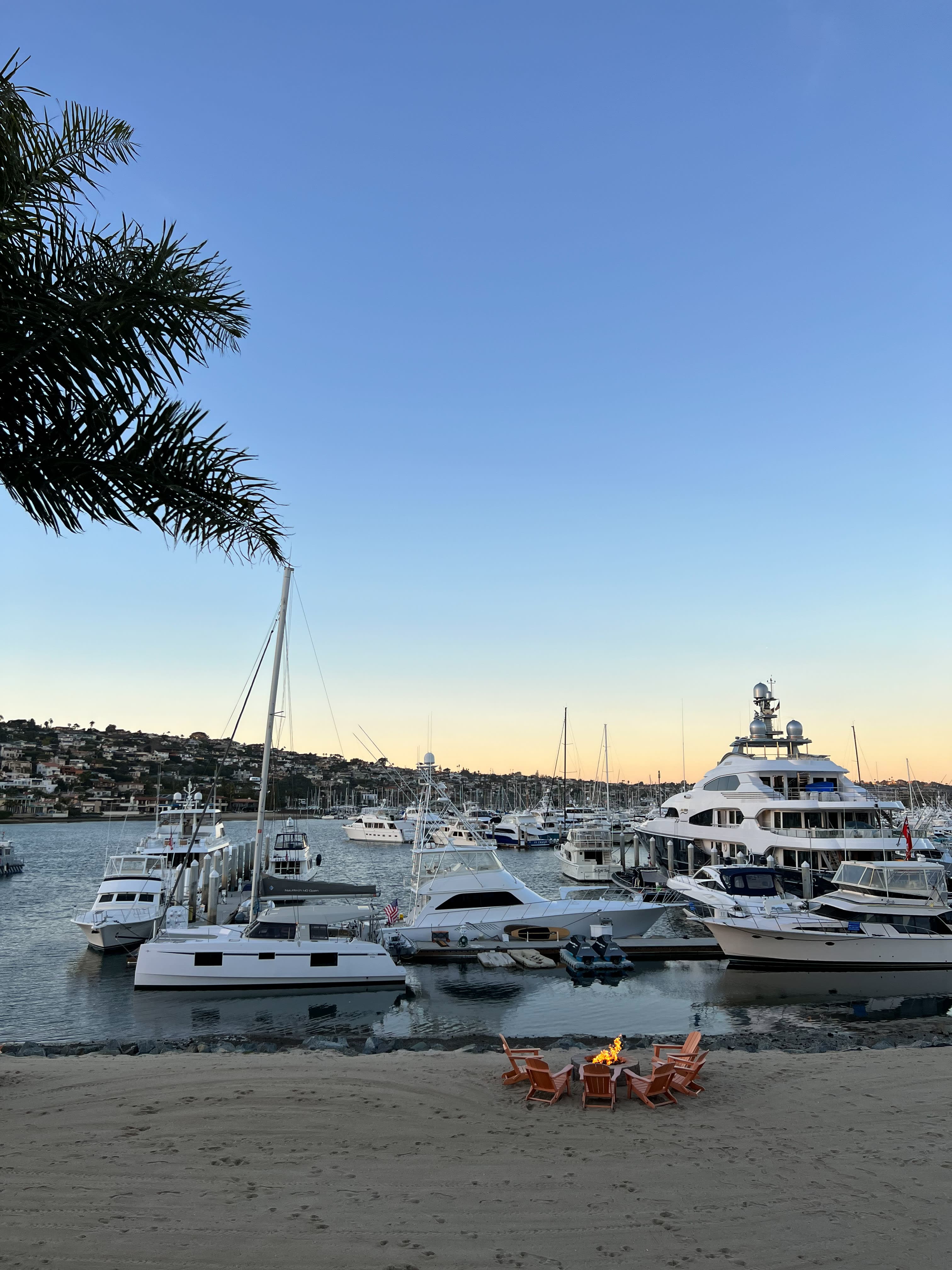 harbor filled with white yachts at sunset